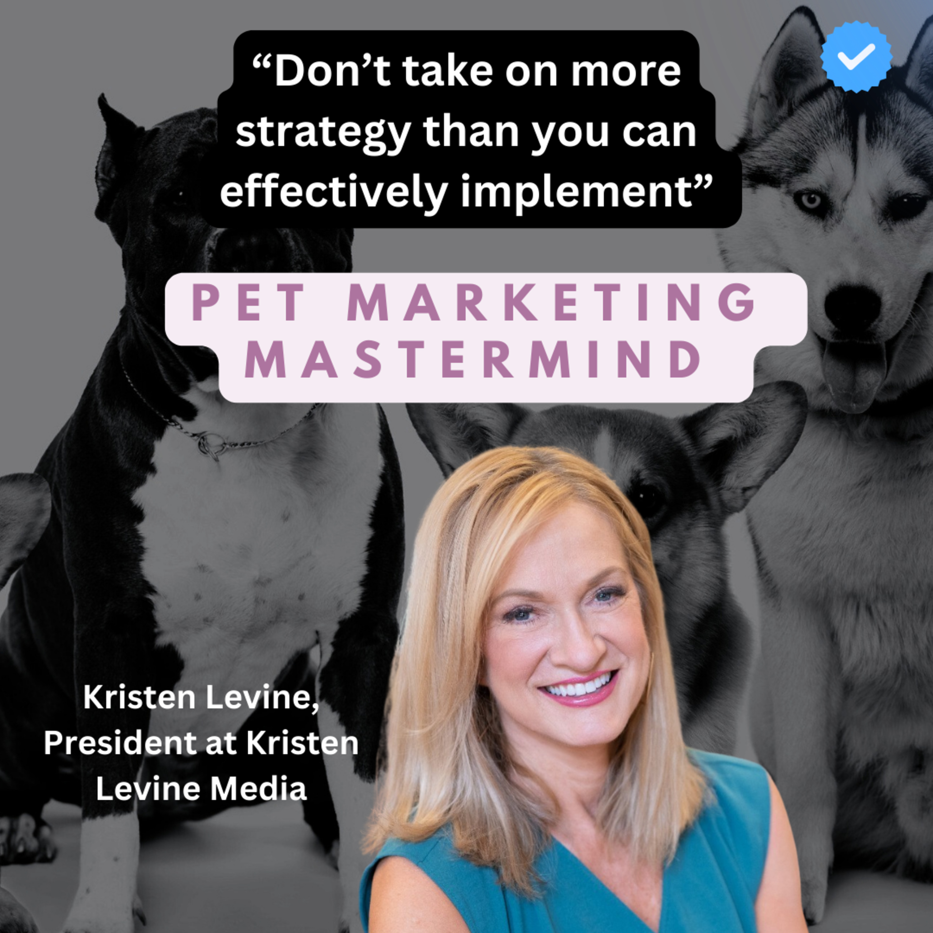 Pet Marketing Mastermind: Kristen Levine, President of Kristen Levine Media episode artwork
