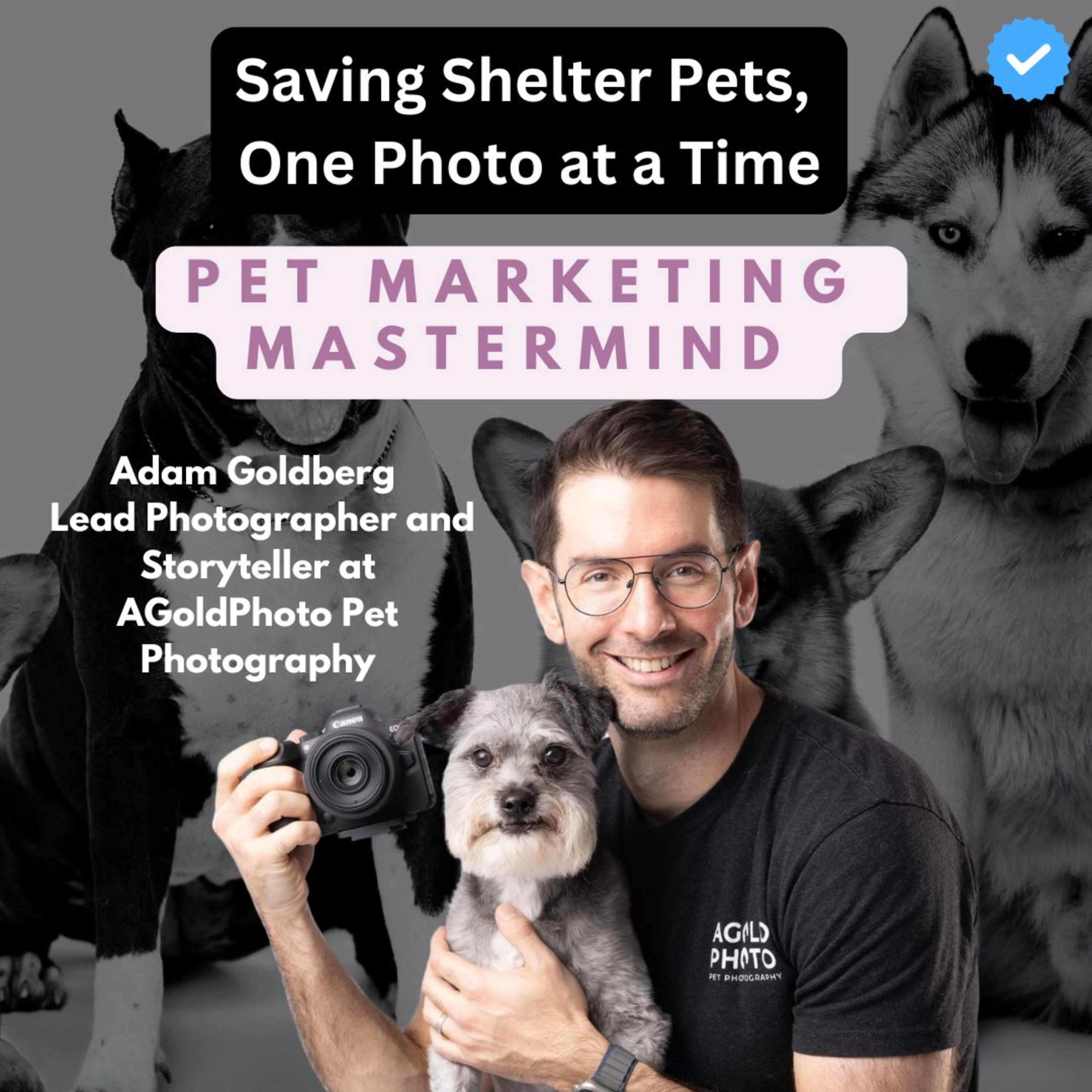 Saving Shelter Pets, One Photo at a Time – Adam Goldberg – Storyteller at AGoldPhoto