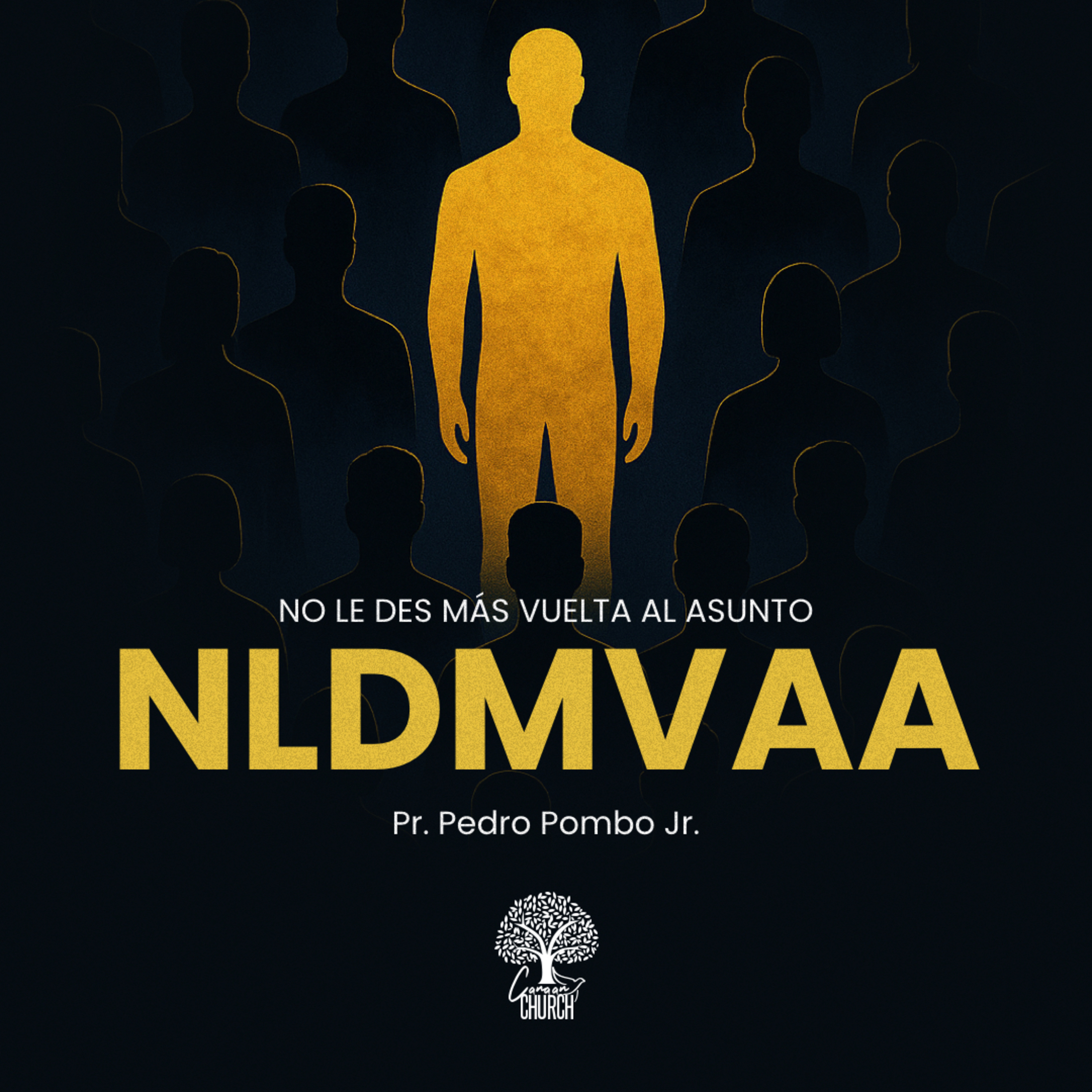 NLDMVAA - NO LE DES MAS VUELTA AL ASUNTO episode artwork