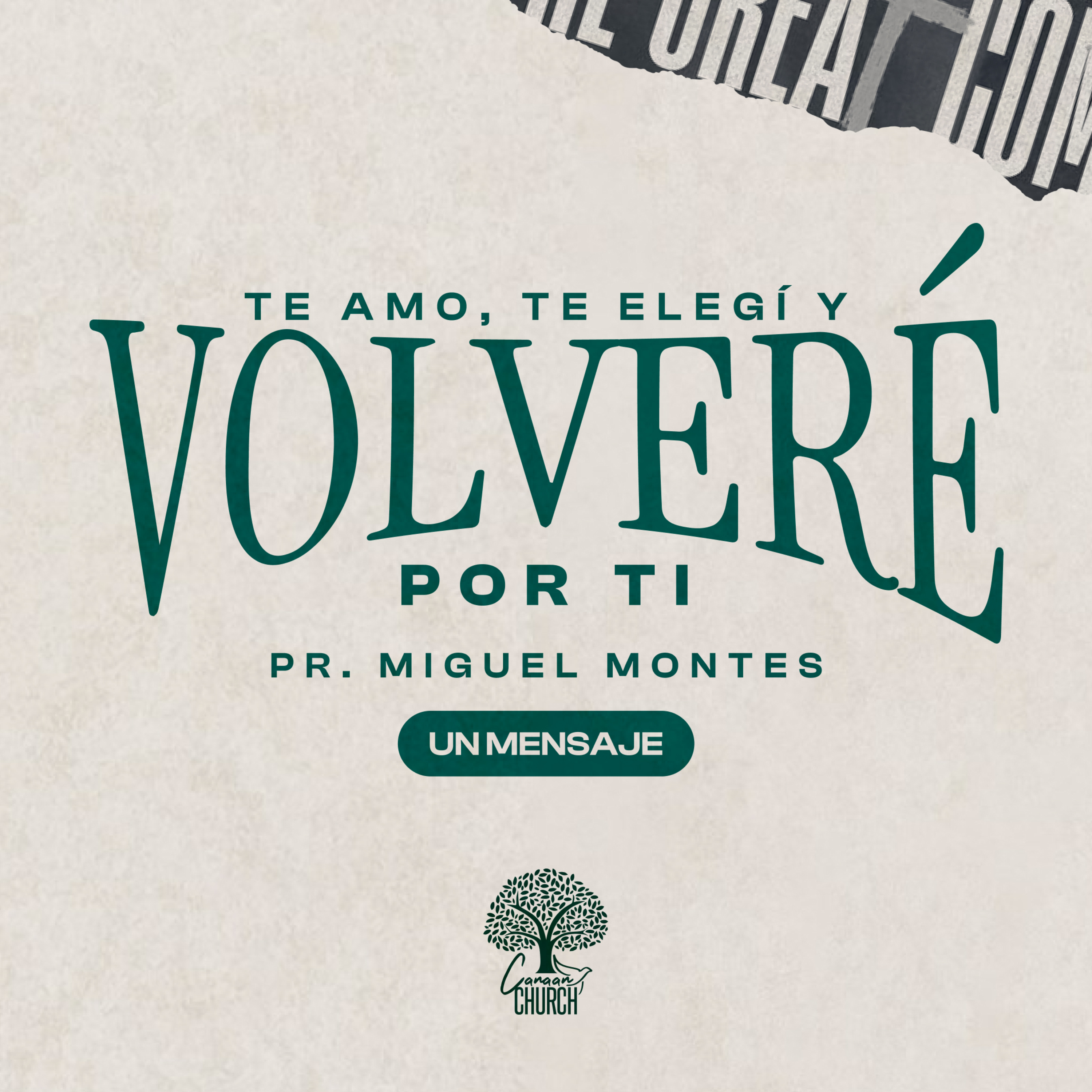 Te amo, te elegí y volveré por ti. episode artwork