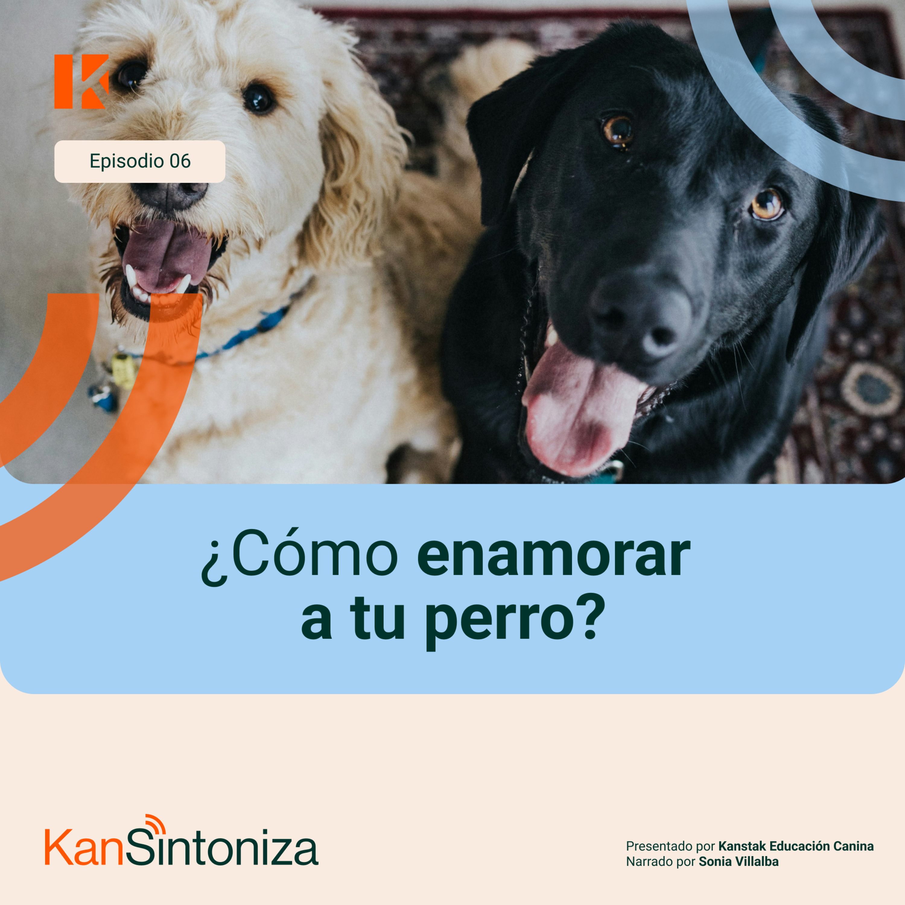 Sintoniza con tu perro