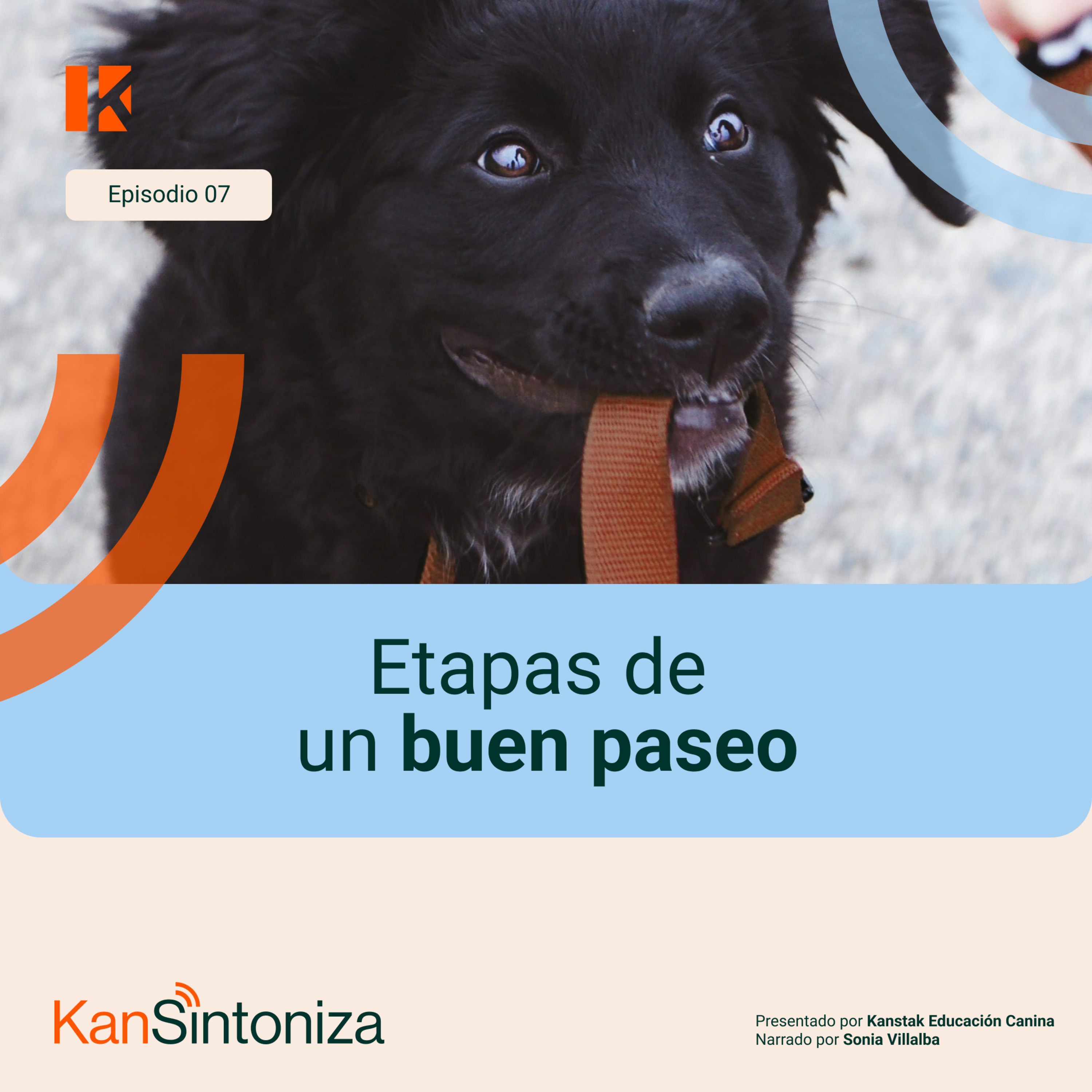 Sintoniza con tu perro