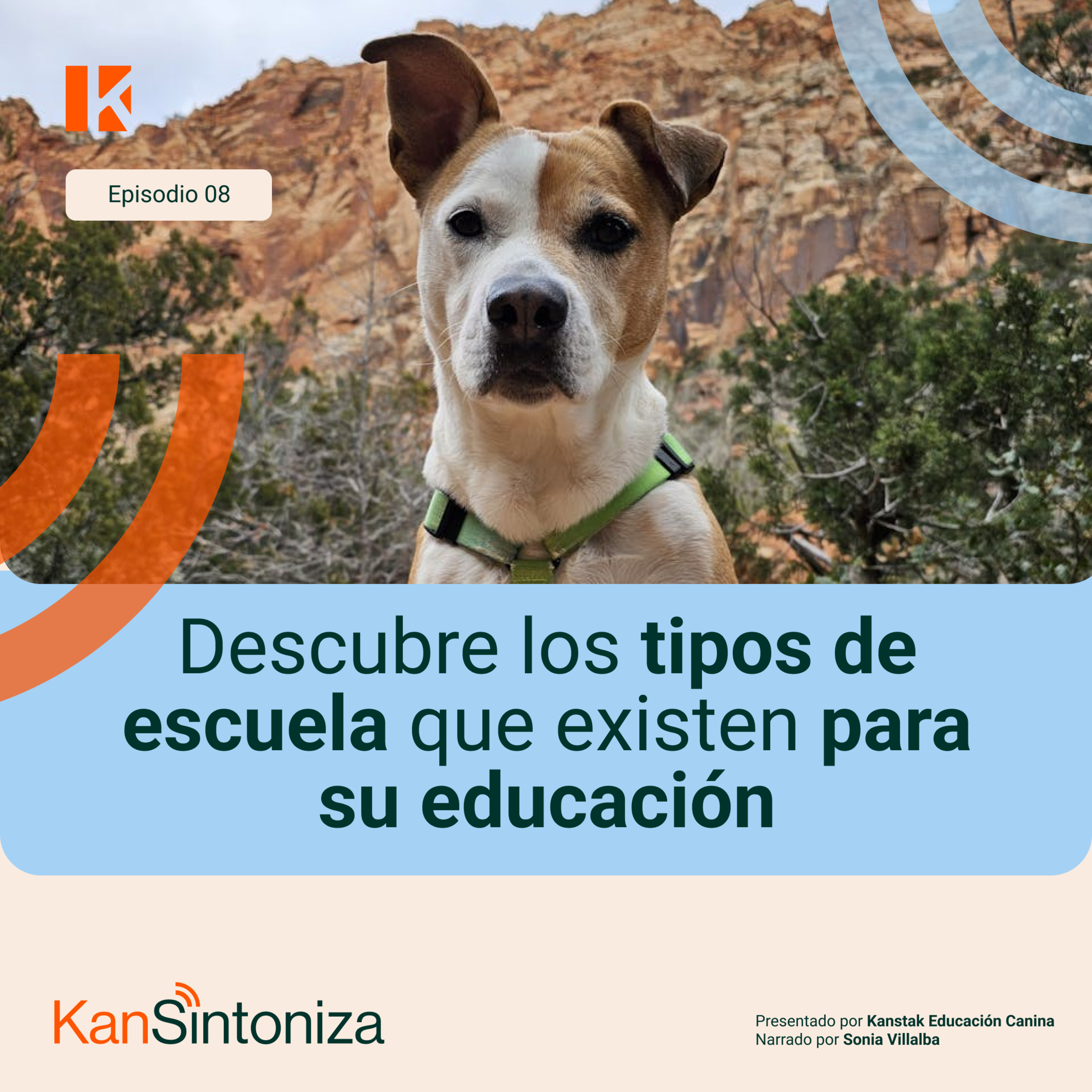 Sintoniza con tu perro