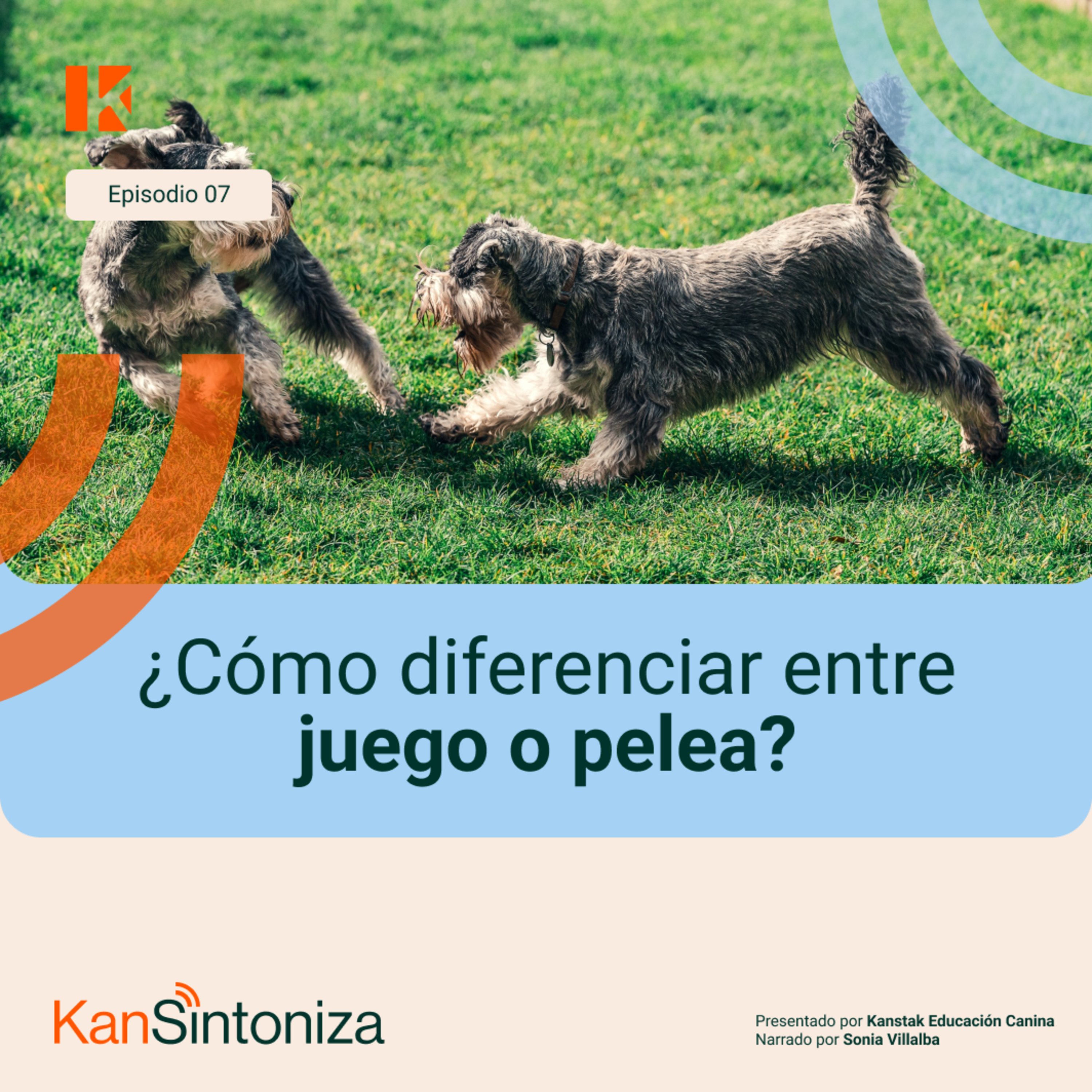 Sintoniza con tu perro