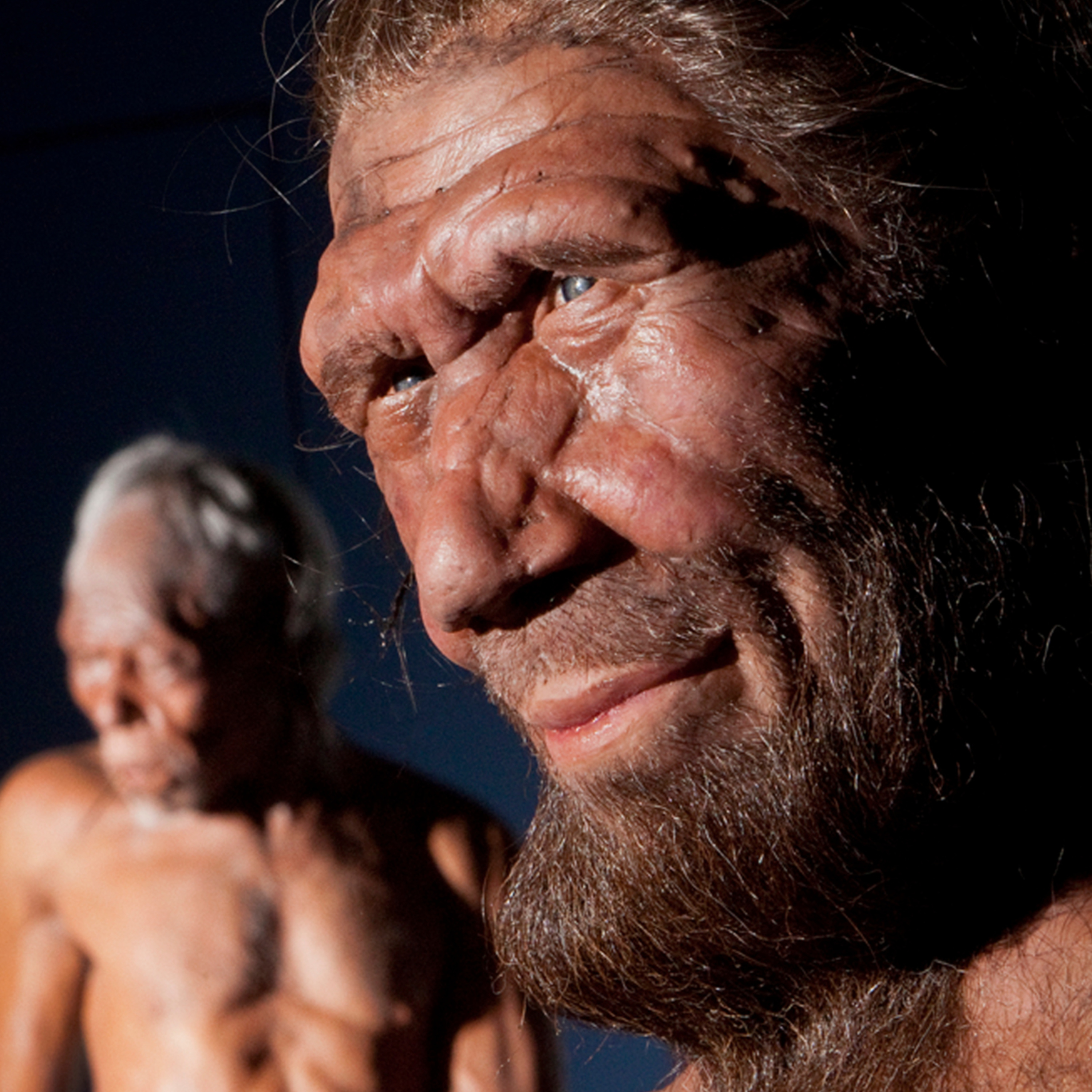 Neanderthal and other Early Humanoids Part 1 episode artwork