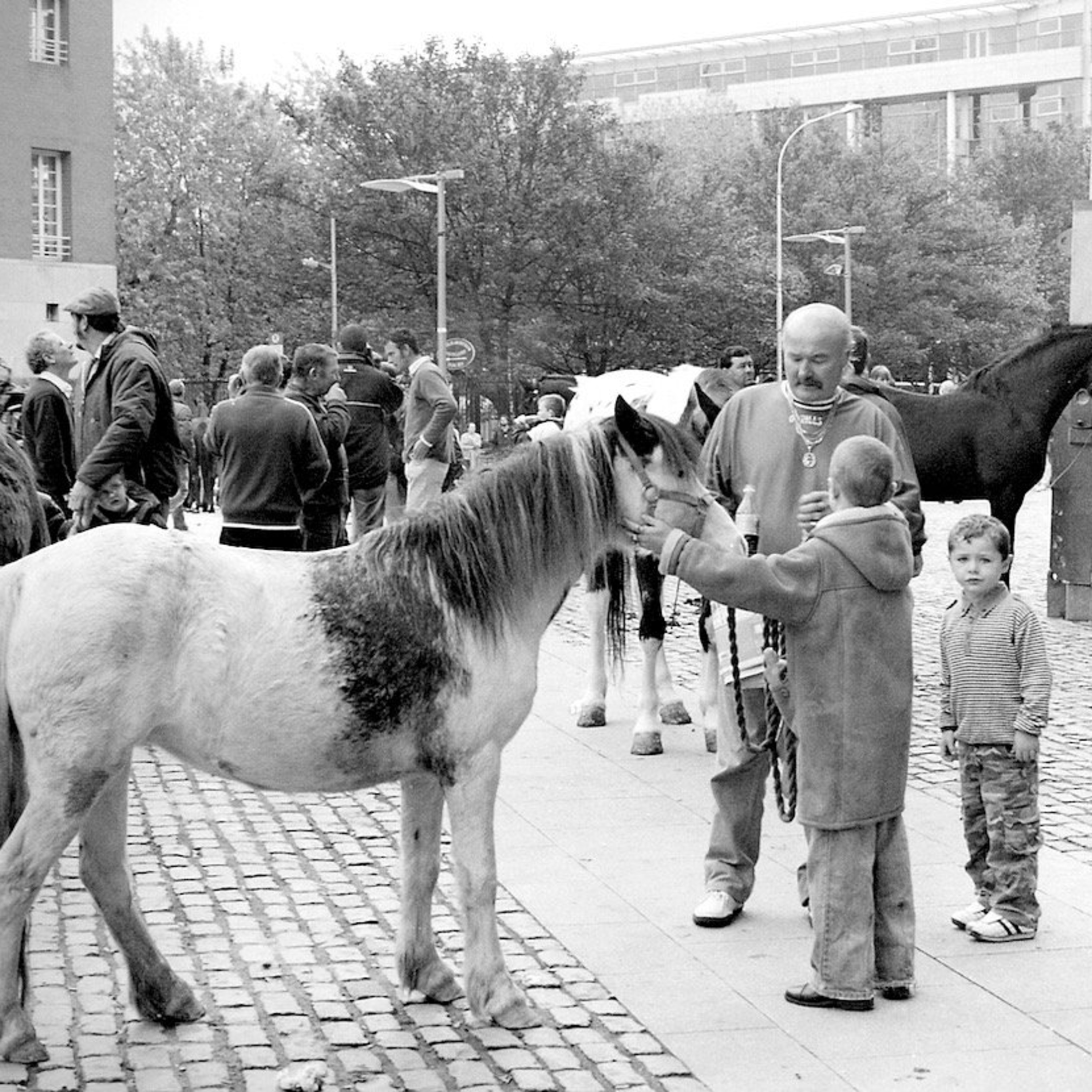 Smithfield Horse Market circa 1994 episode artwork