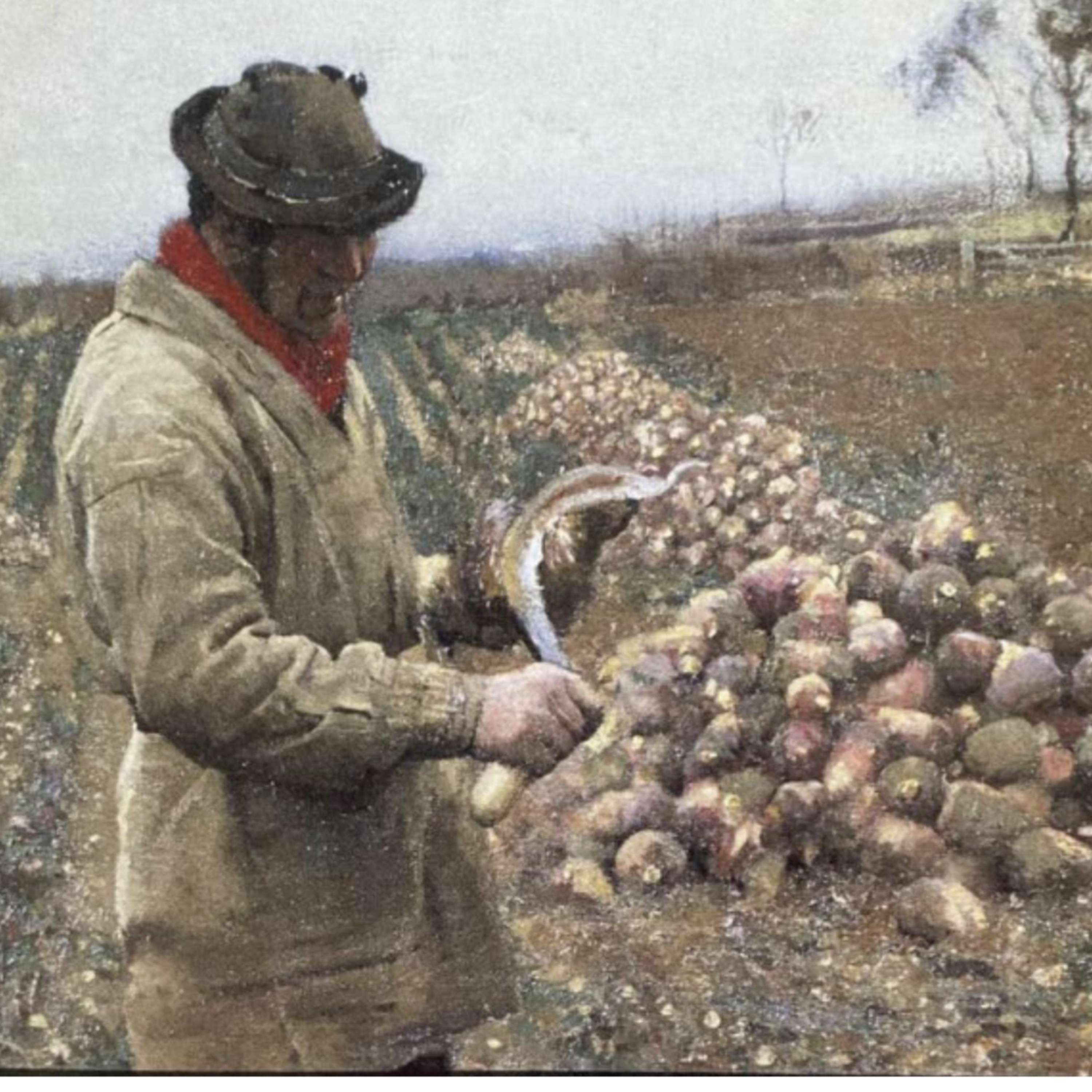 Kelly's Bread and the Irish Famine  episode artwork