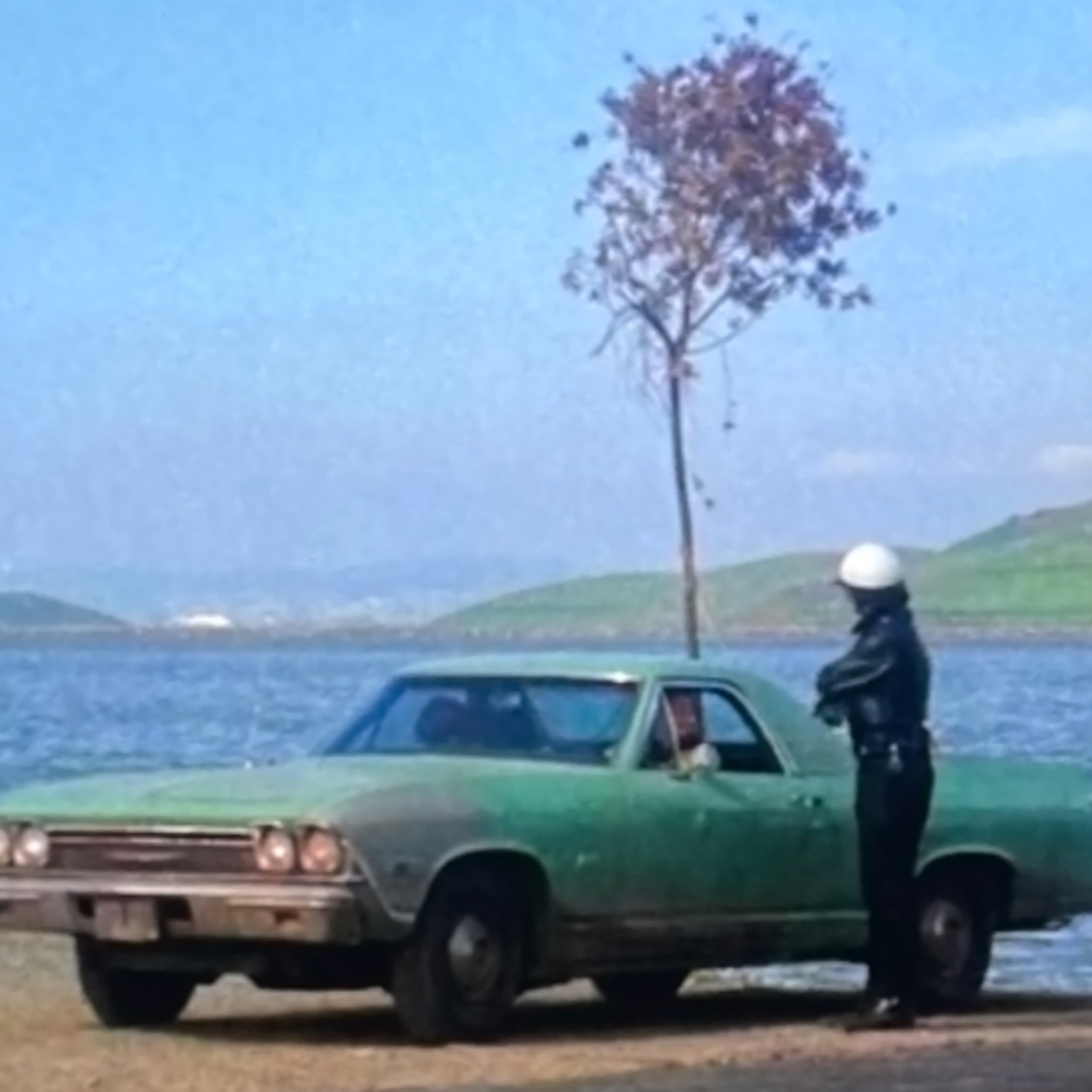 Harold & Maude (1971) Episode 11- What Else did you Watch? PODCAST episode artwork