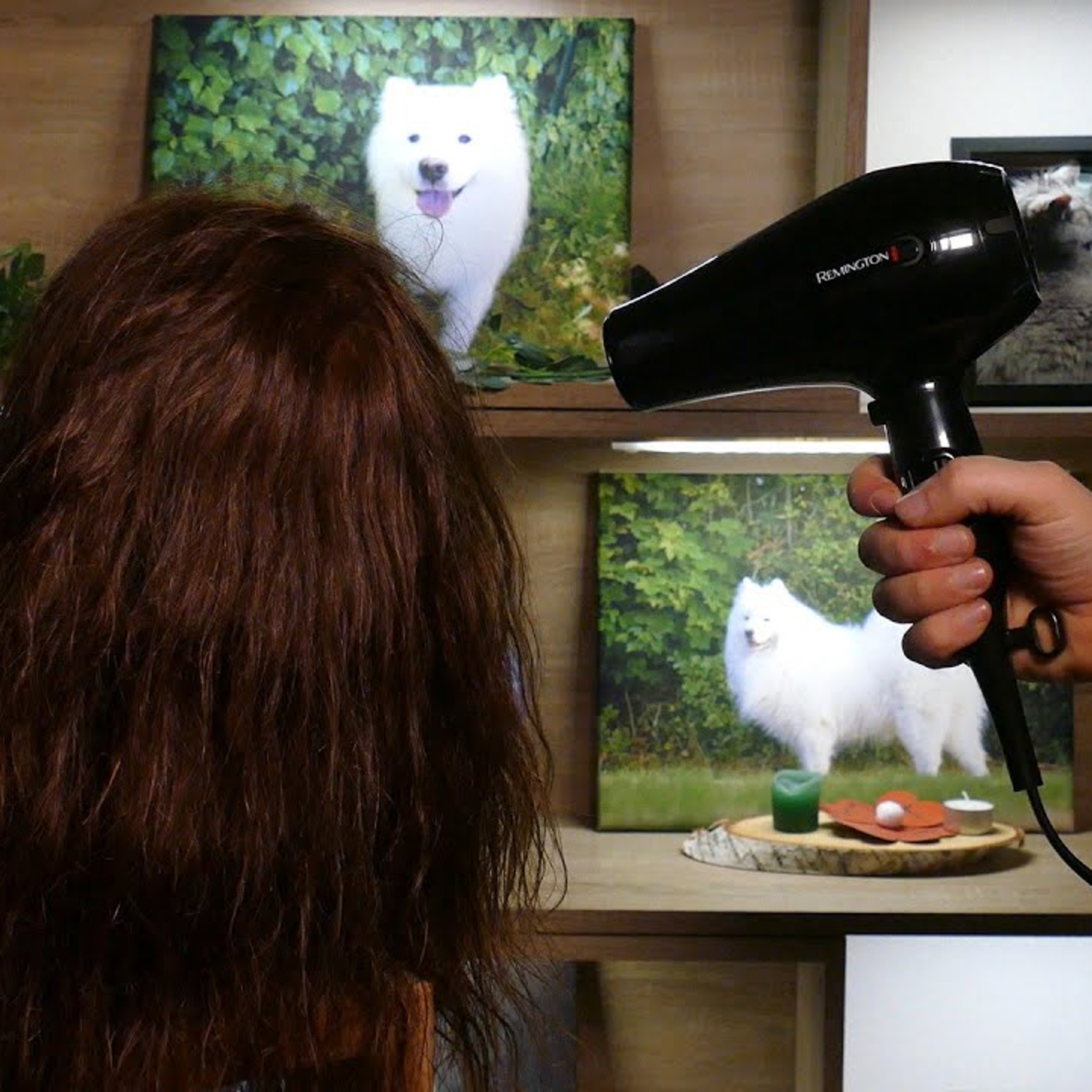 #394. A relaxing sound from my HAIR DRYER collection episode artwork