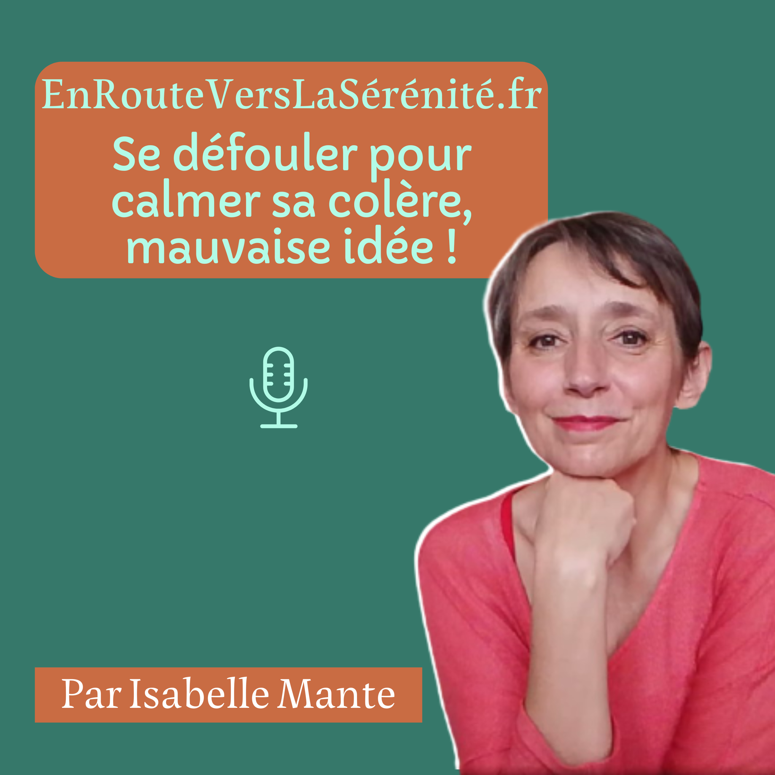 Se défouler pour calmer sa colère, mauvaise idée ! Ep 103