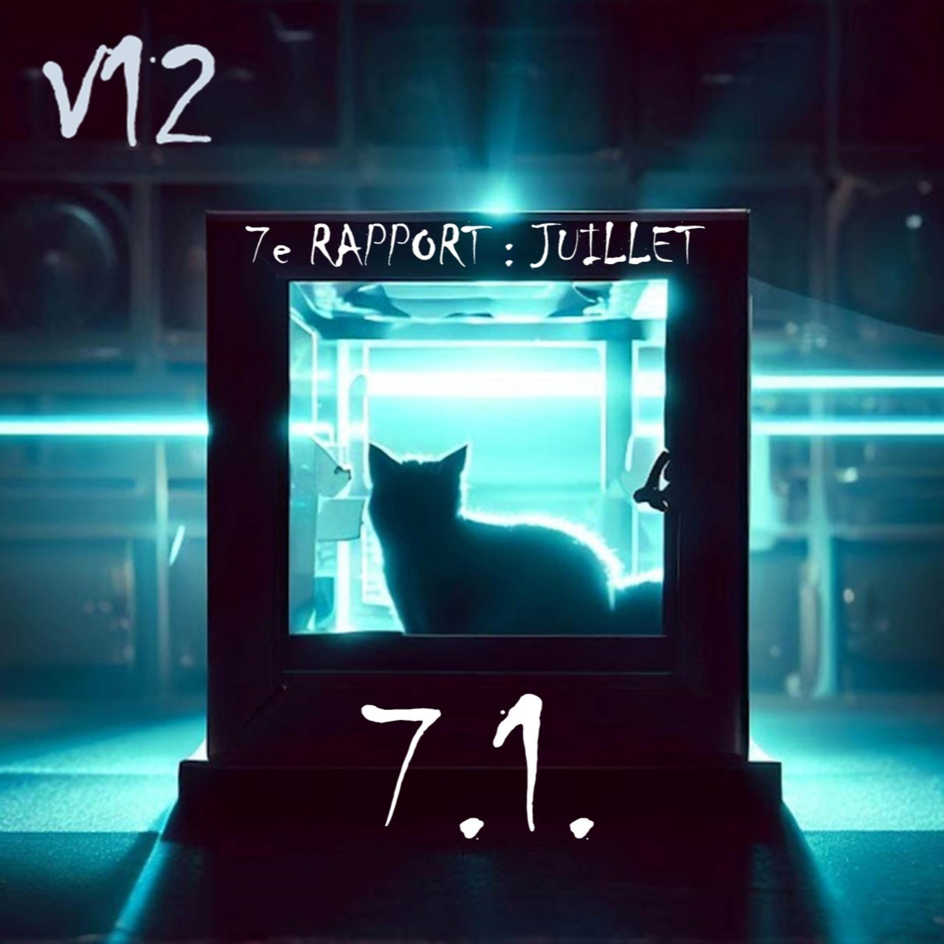 7.1 : partie 1 du rapport V7 (Juillet)
