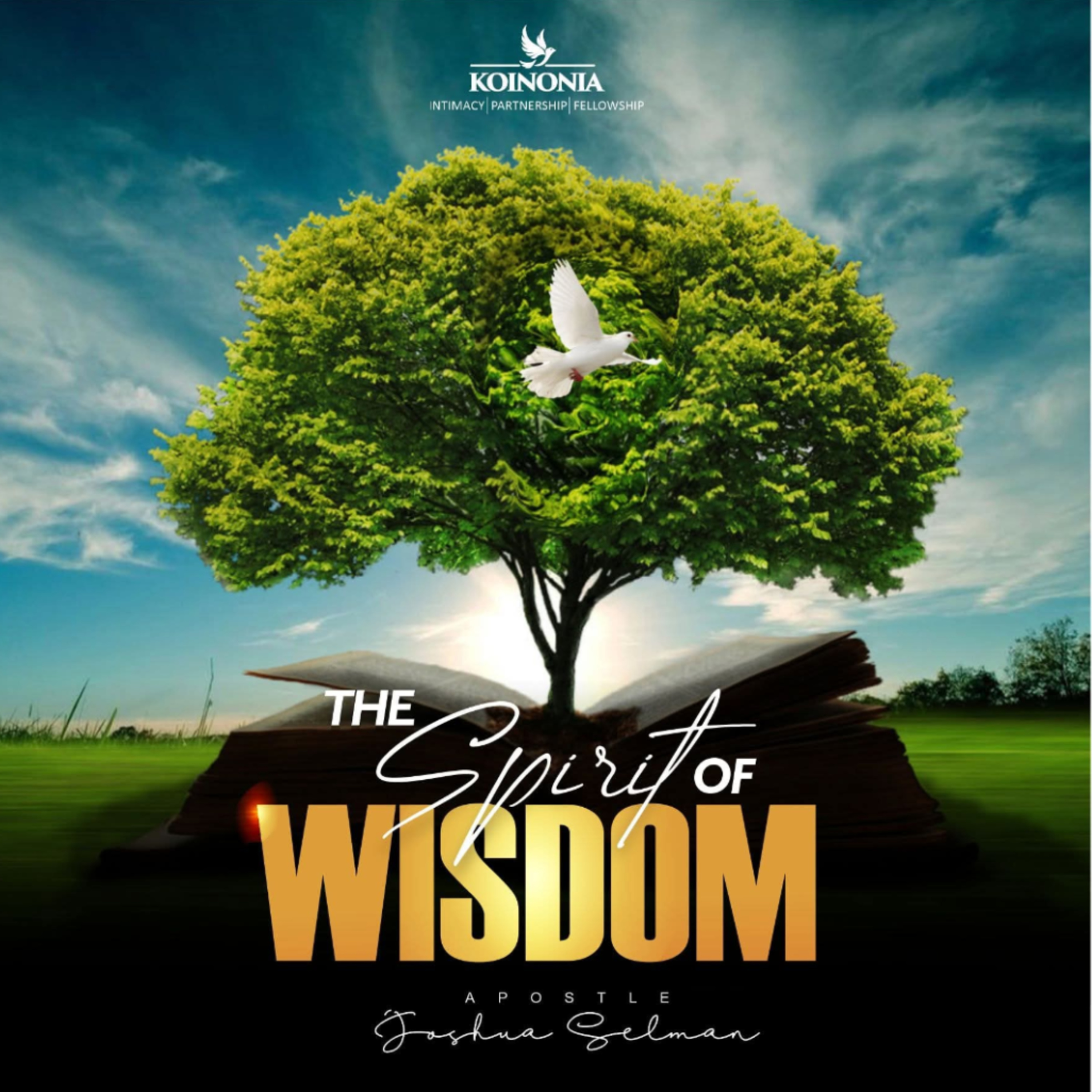 THE SPIRIT OF WISDOM WITH APOSTLE JOSHUA SELMAN 01.08.2021