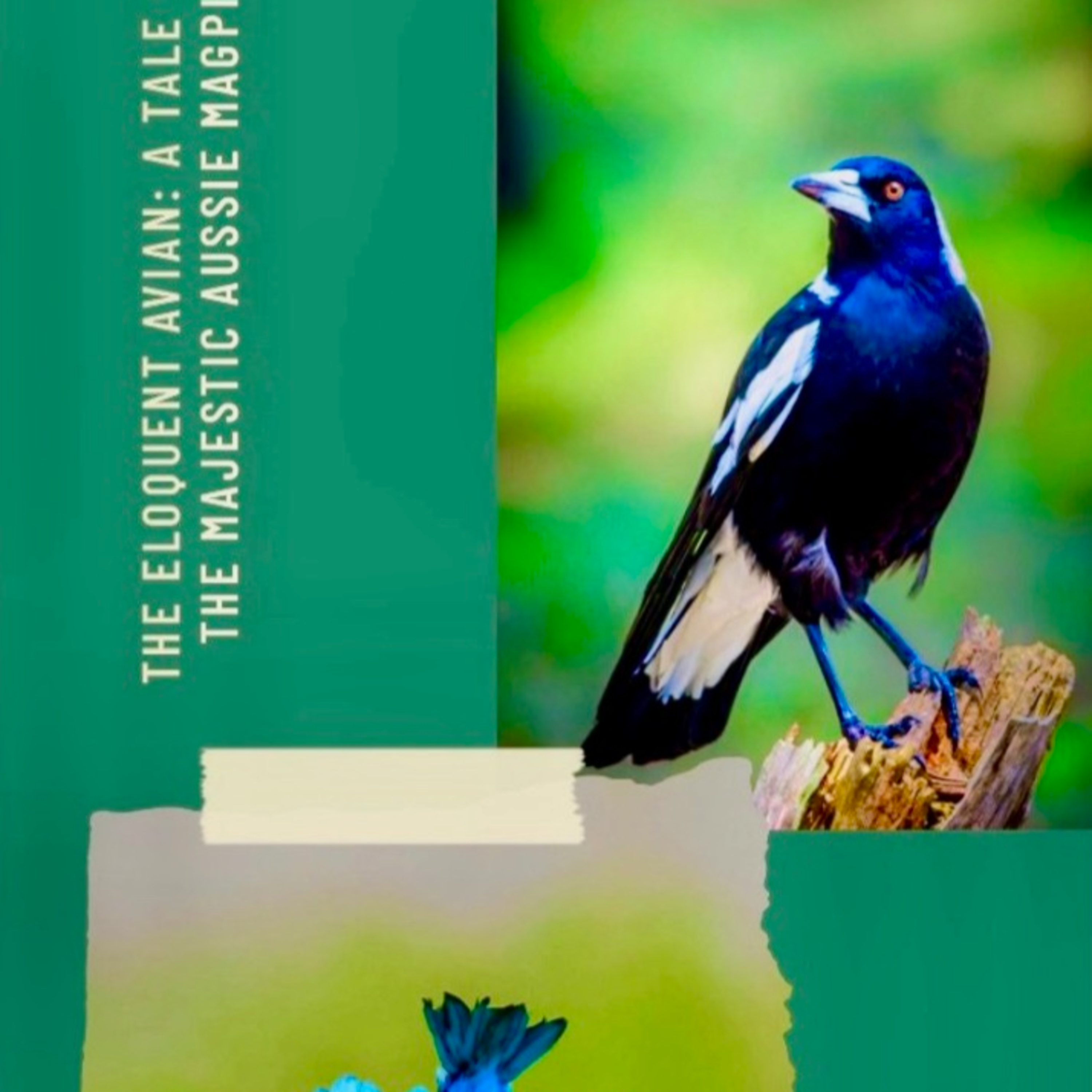The Eloquent Avian: A Tale of an Australian Magpie And Willpower.  episode artwork