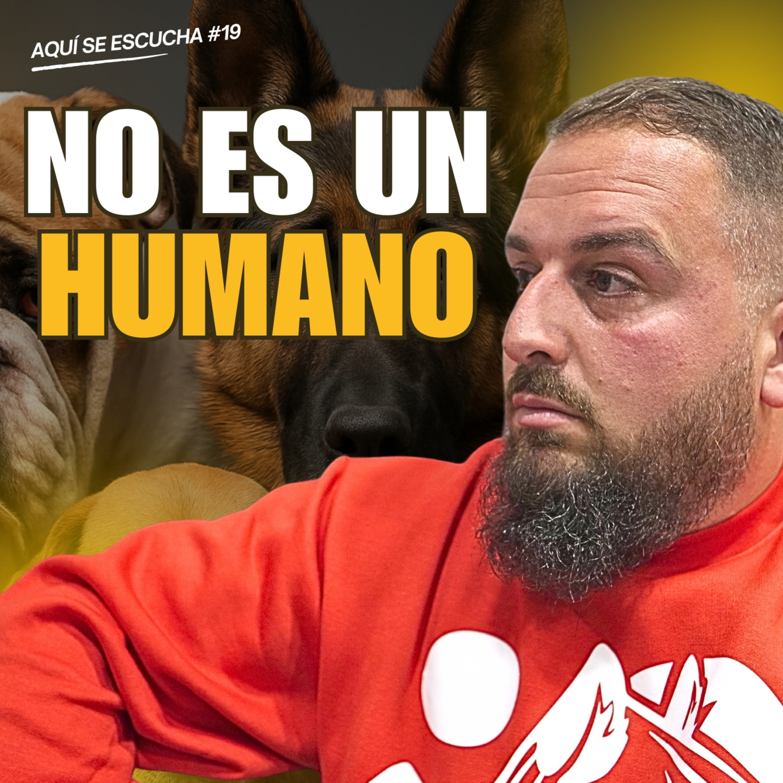 Aquí Se Escucha