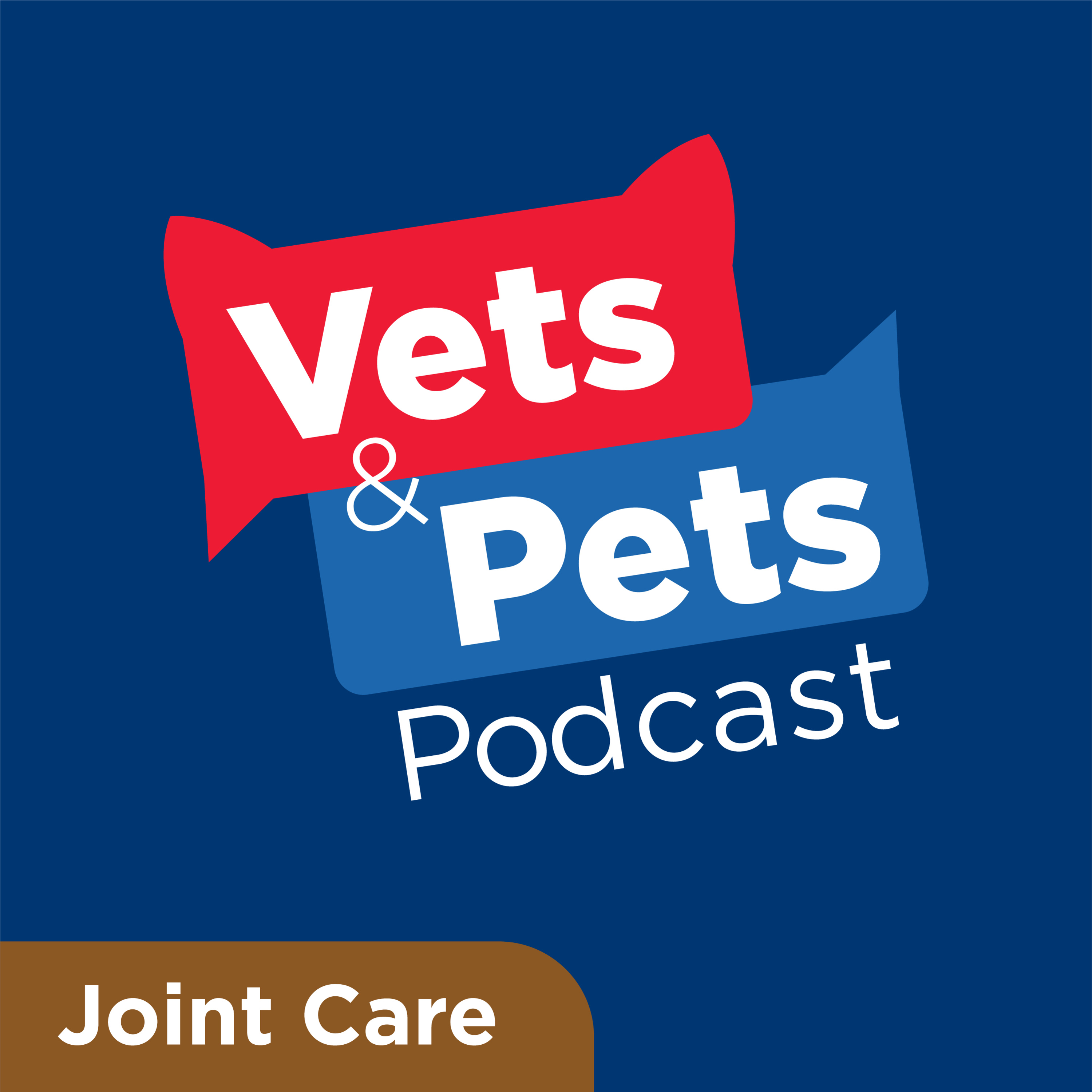 #4 Joint: A look at the causes, signs and symptoms of osteoarthritis in pets — Vets & Pets Podcast