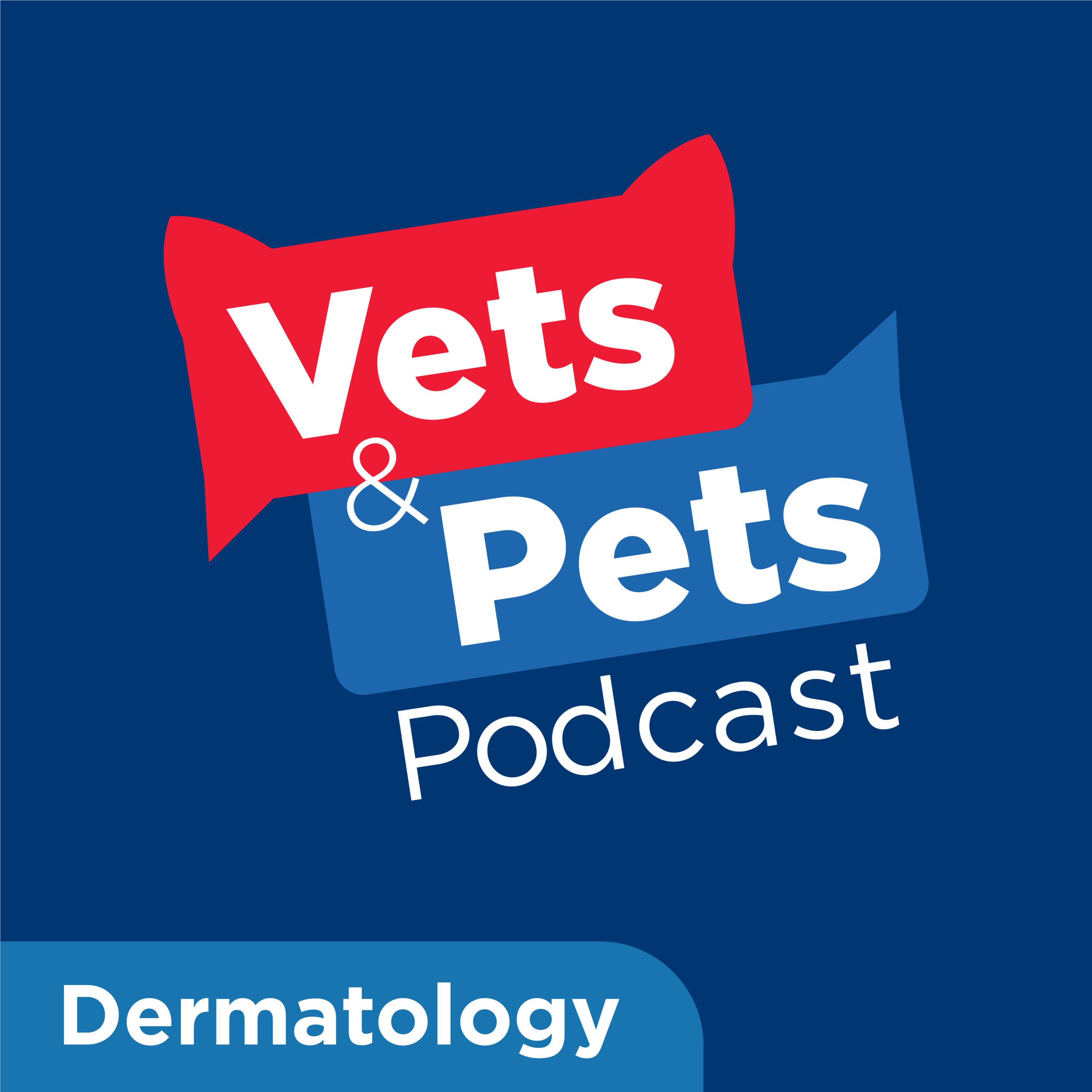 #9 Derm: A multimodal approach to treating skin conditions — Vets & Pets Podcast