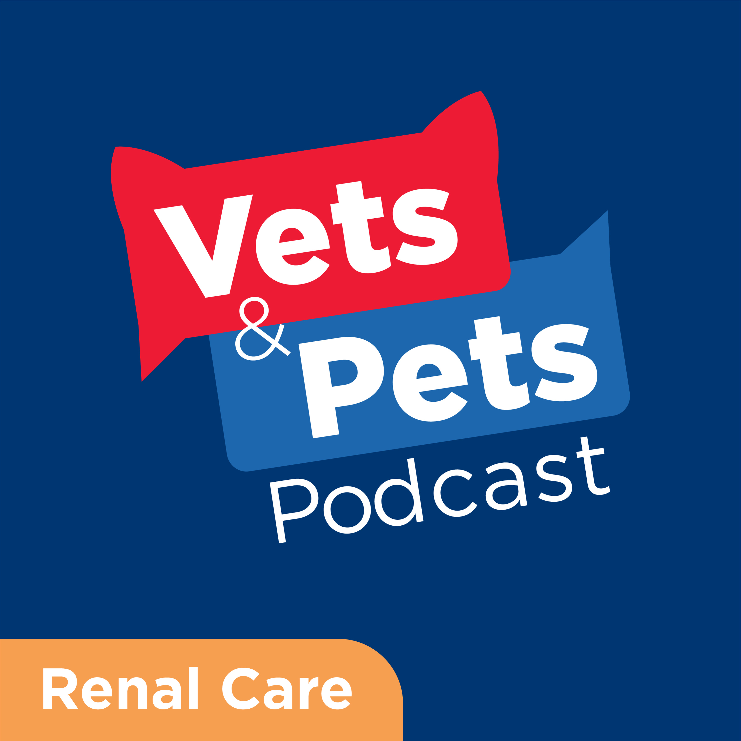#11 Renal: The microbiome and CKD link and how nutrition can help — Vets & Pets Podcast