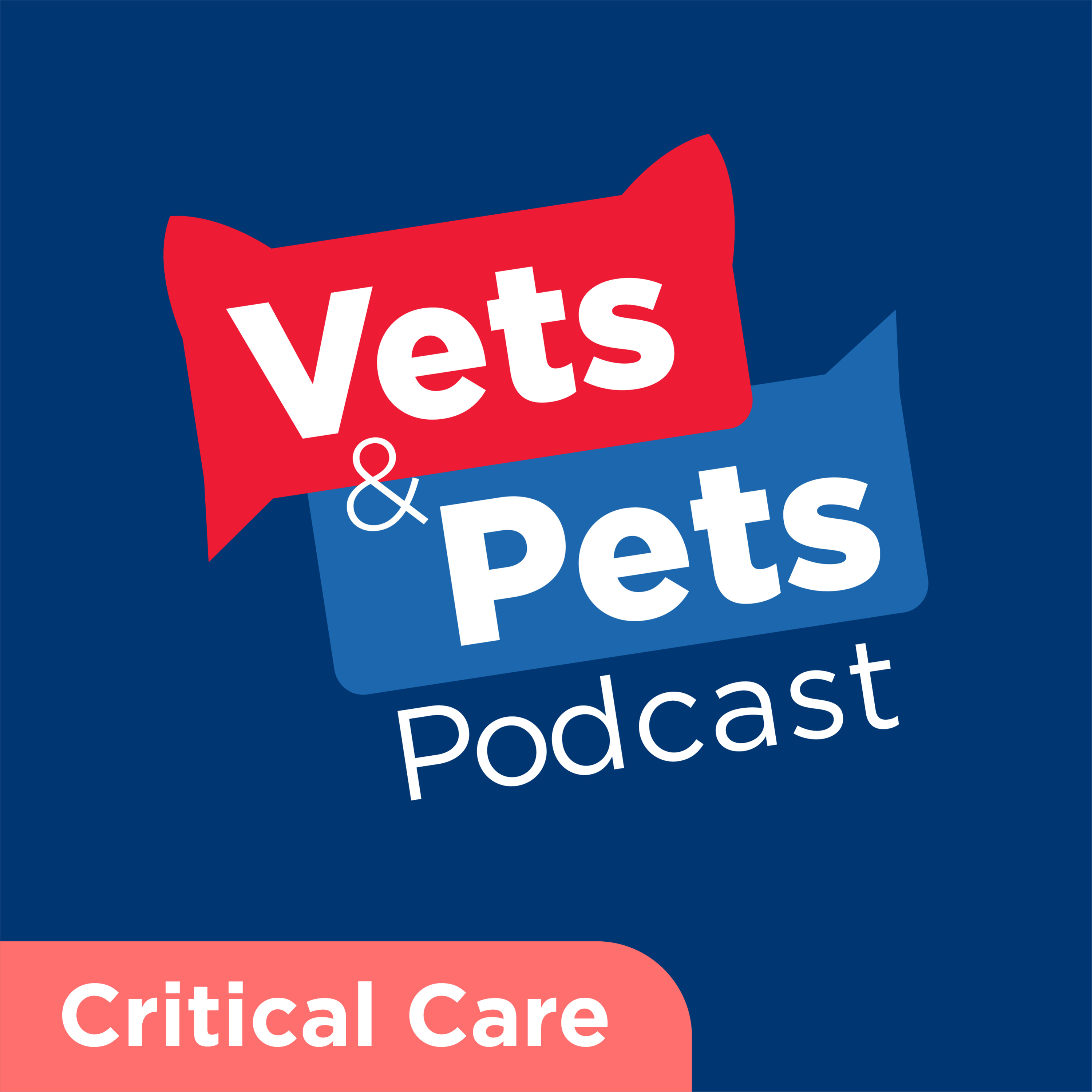 #14 Critical Care: Nutrition as one of the four pillars of recovery — Vets & Pets Podcast