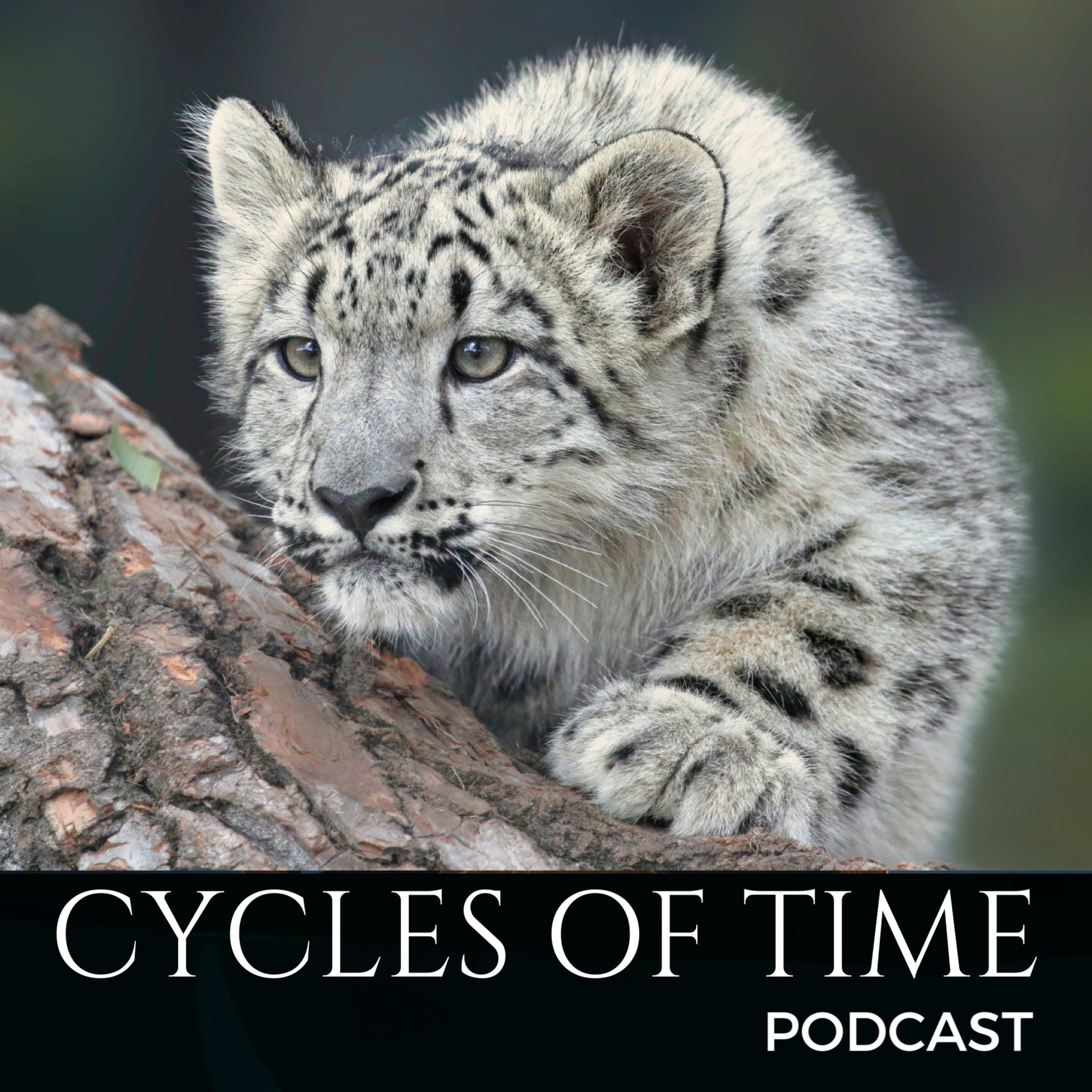 Cycles of Time Podcast