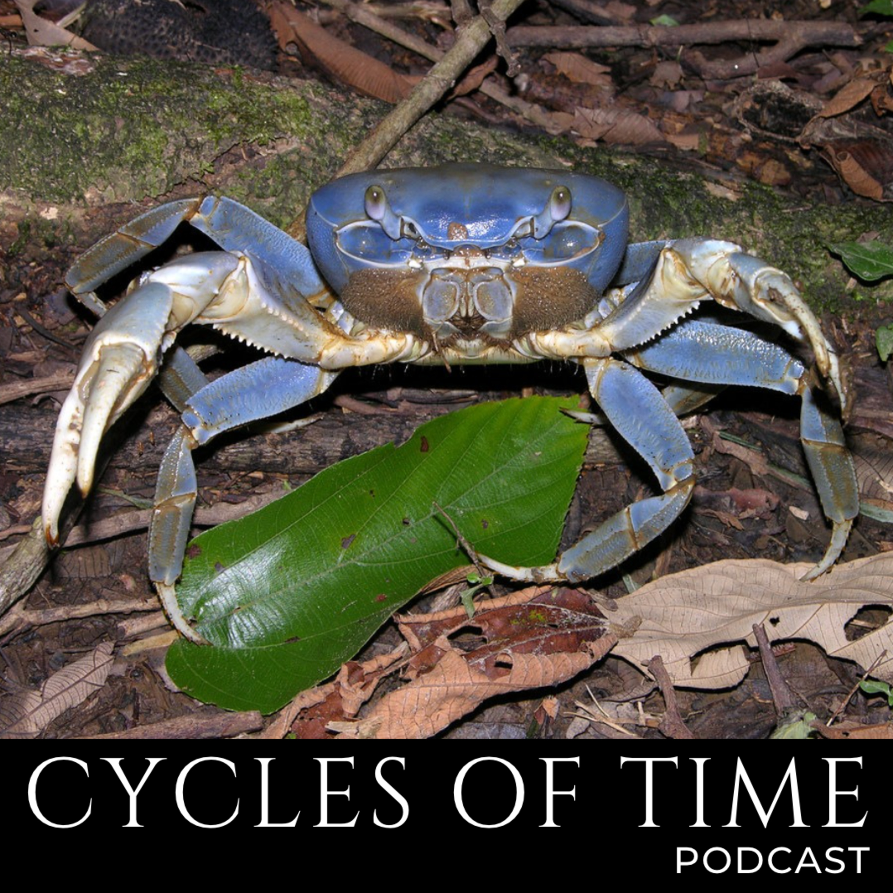 Cycles of Time Podcast