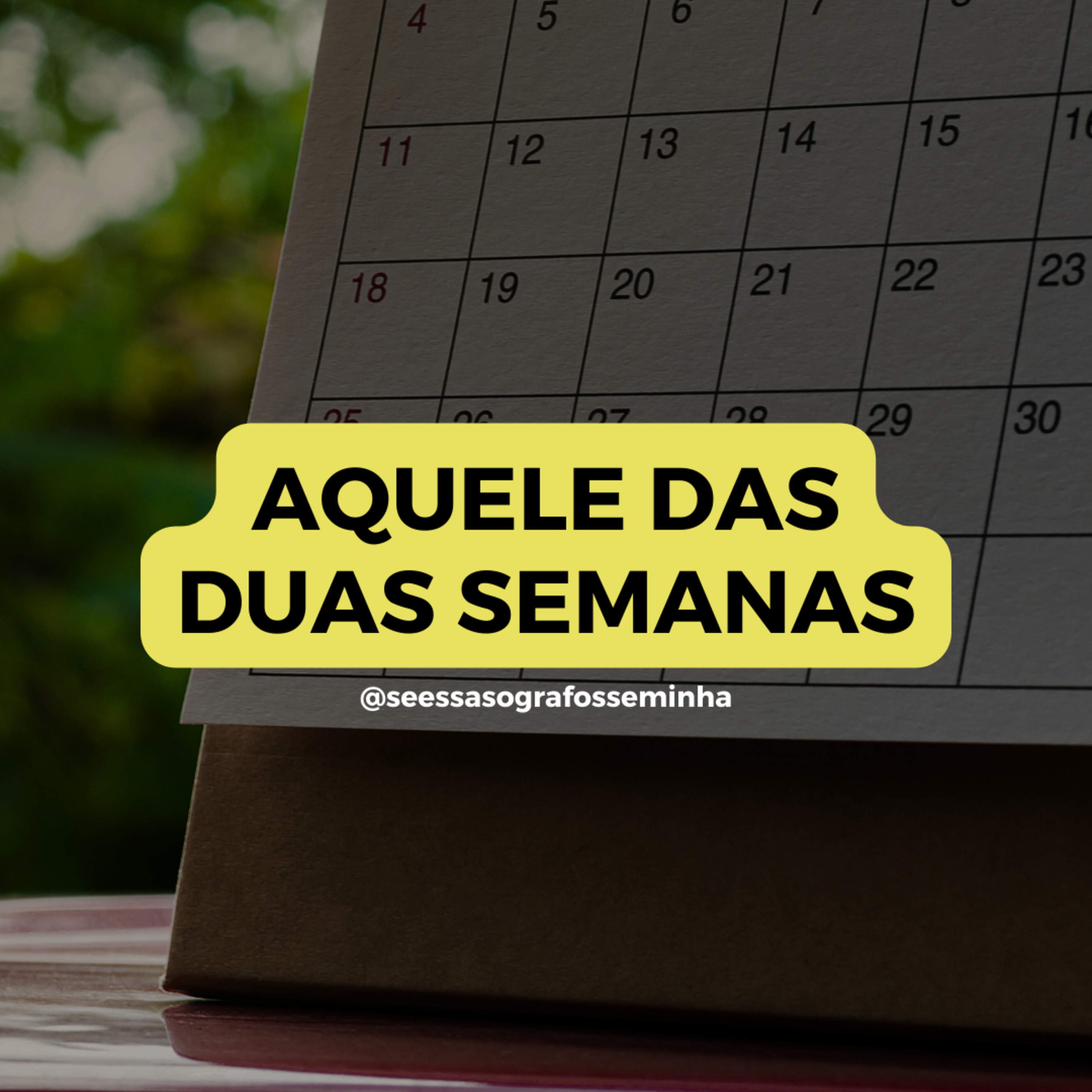 AQUELE DAS DUAS SEMANAS