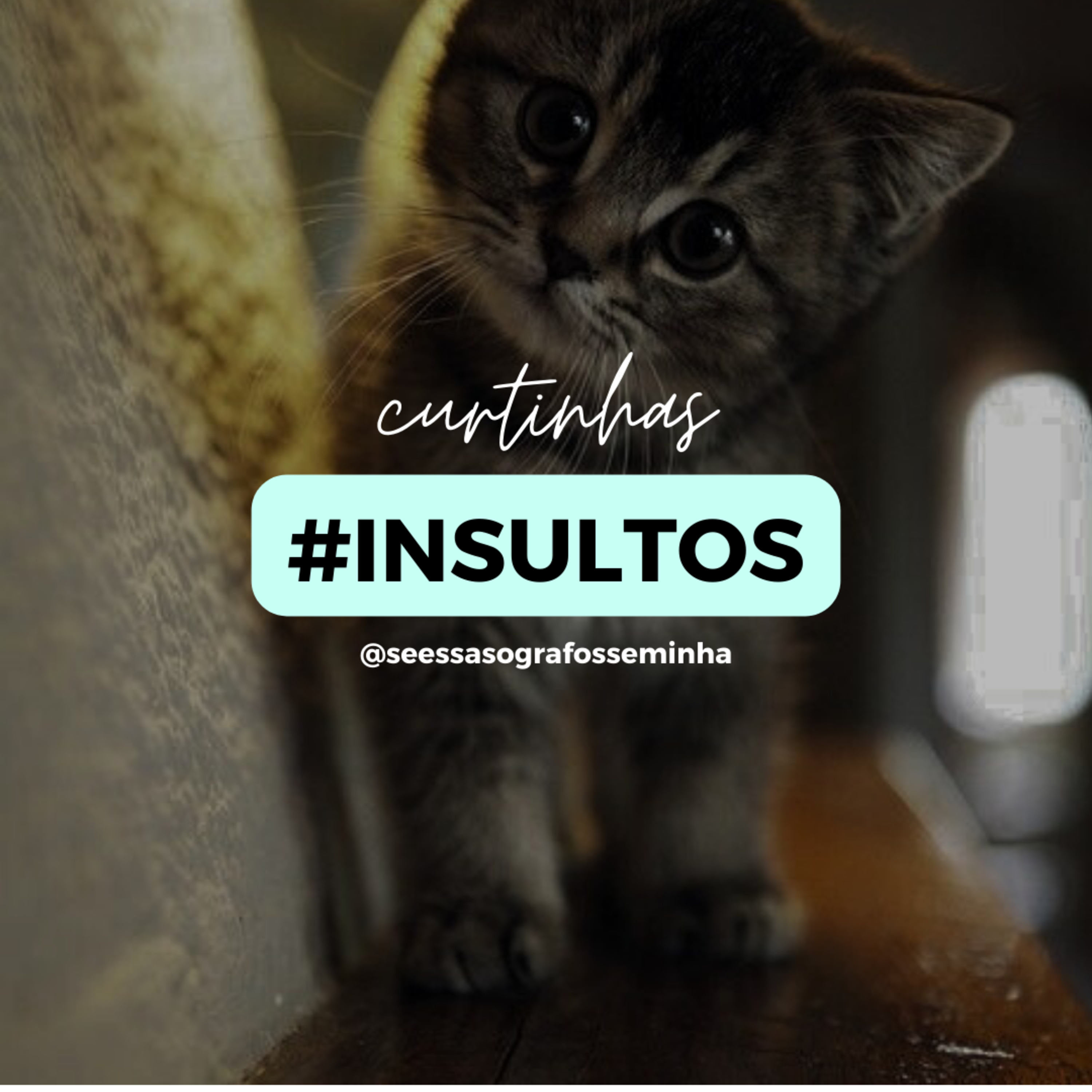 AQUELE DOS #INSULTOS