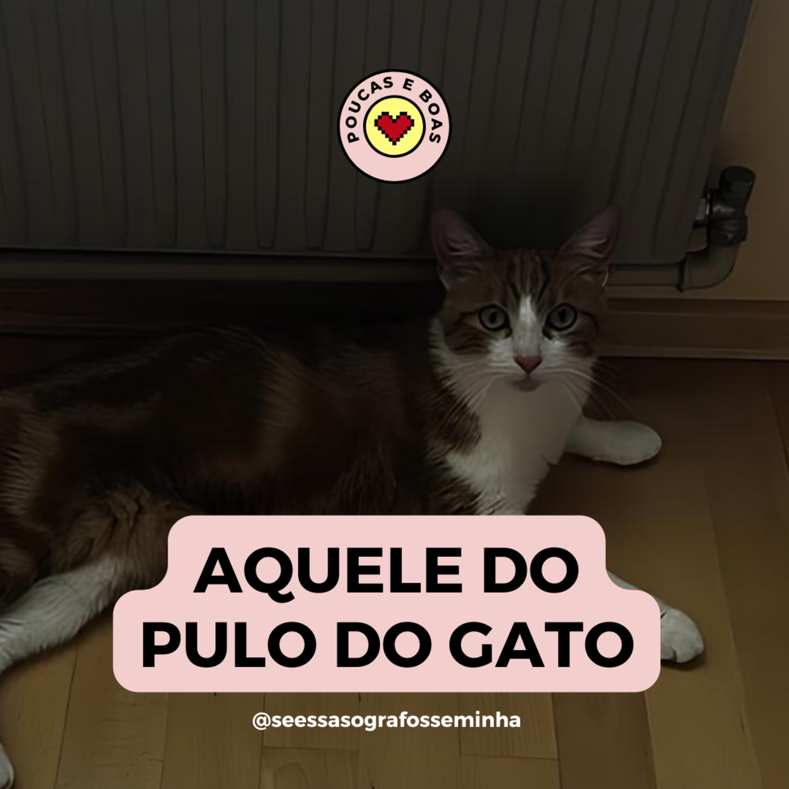 Se Essa Sogra Fosse Minha