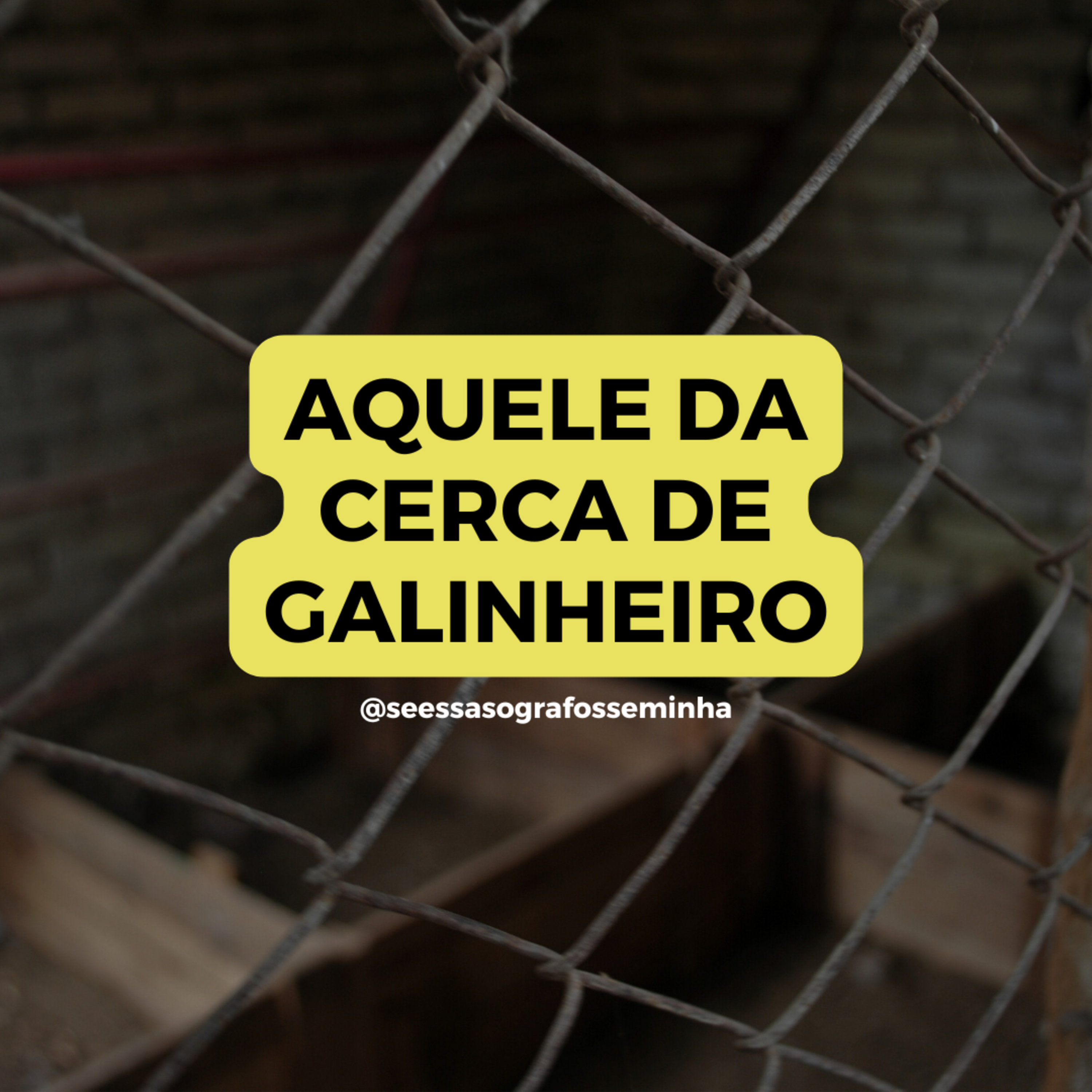 Se Essa Sogra Fosse Minha