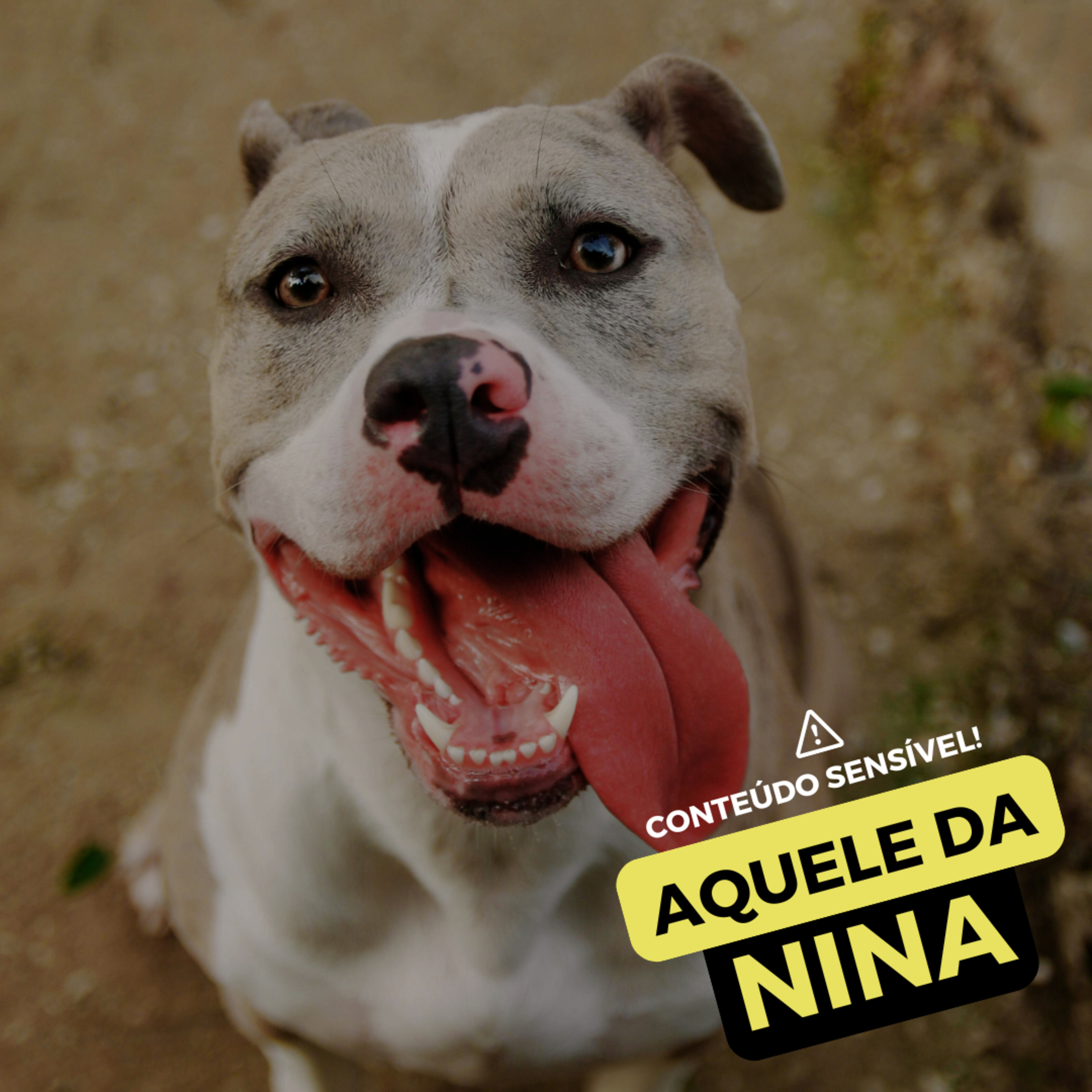 Se Essa Sogra Fosse Minha
