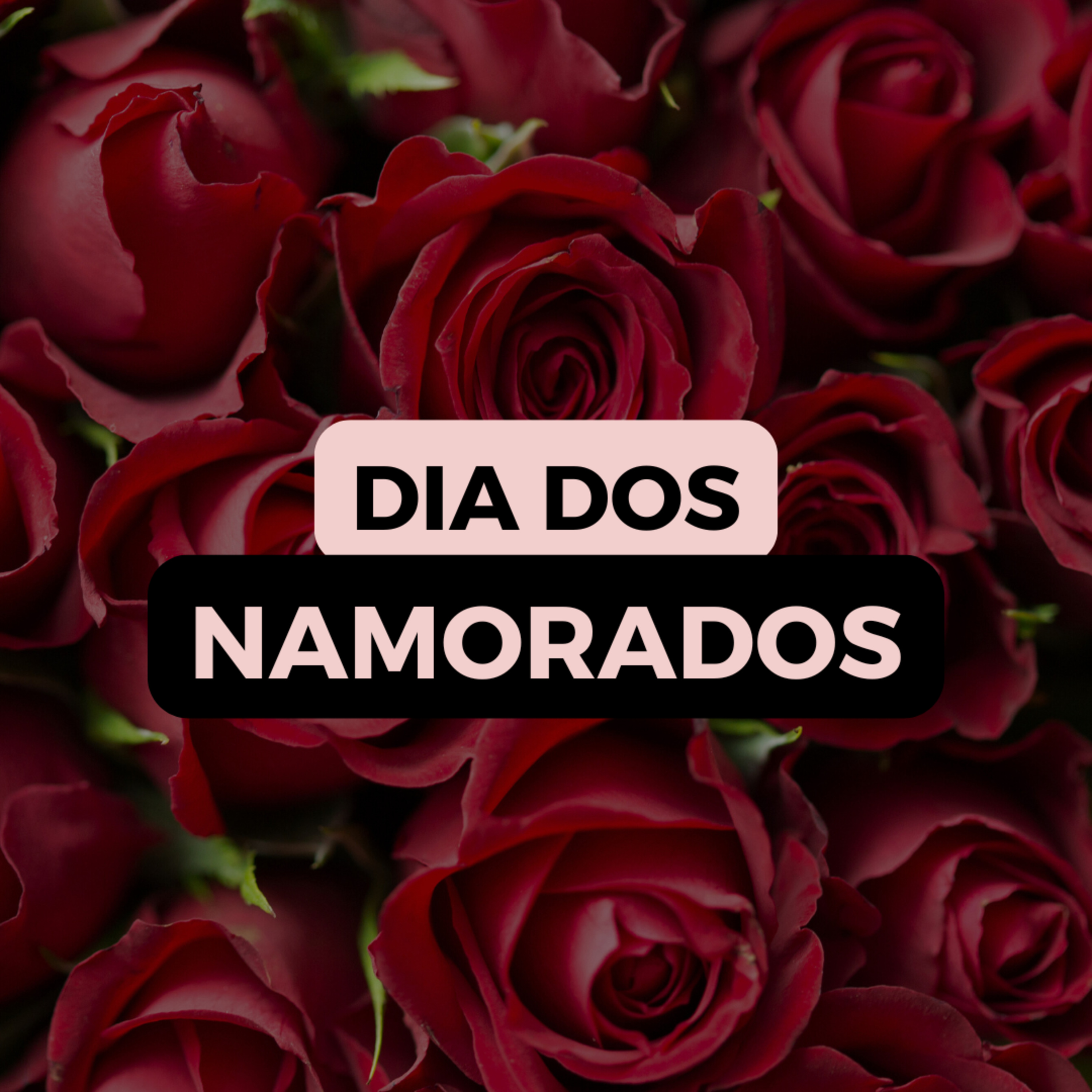 Se Essa Sogra Fosse Minha