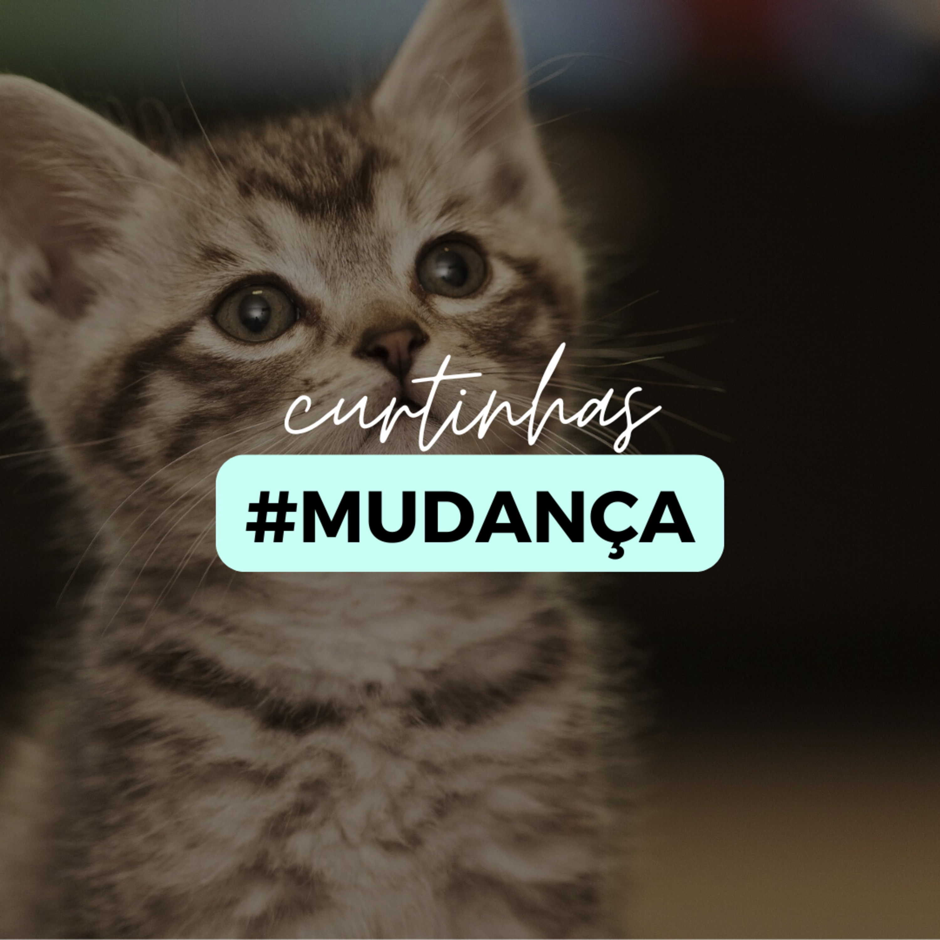 AQUELE DA #MUDANÇA episode artwork