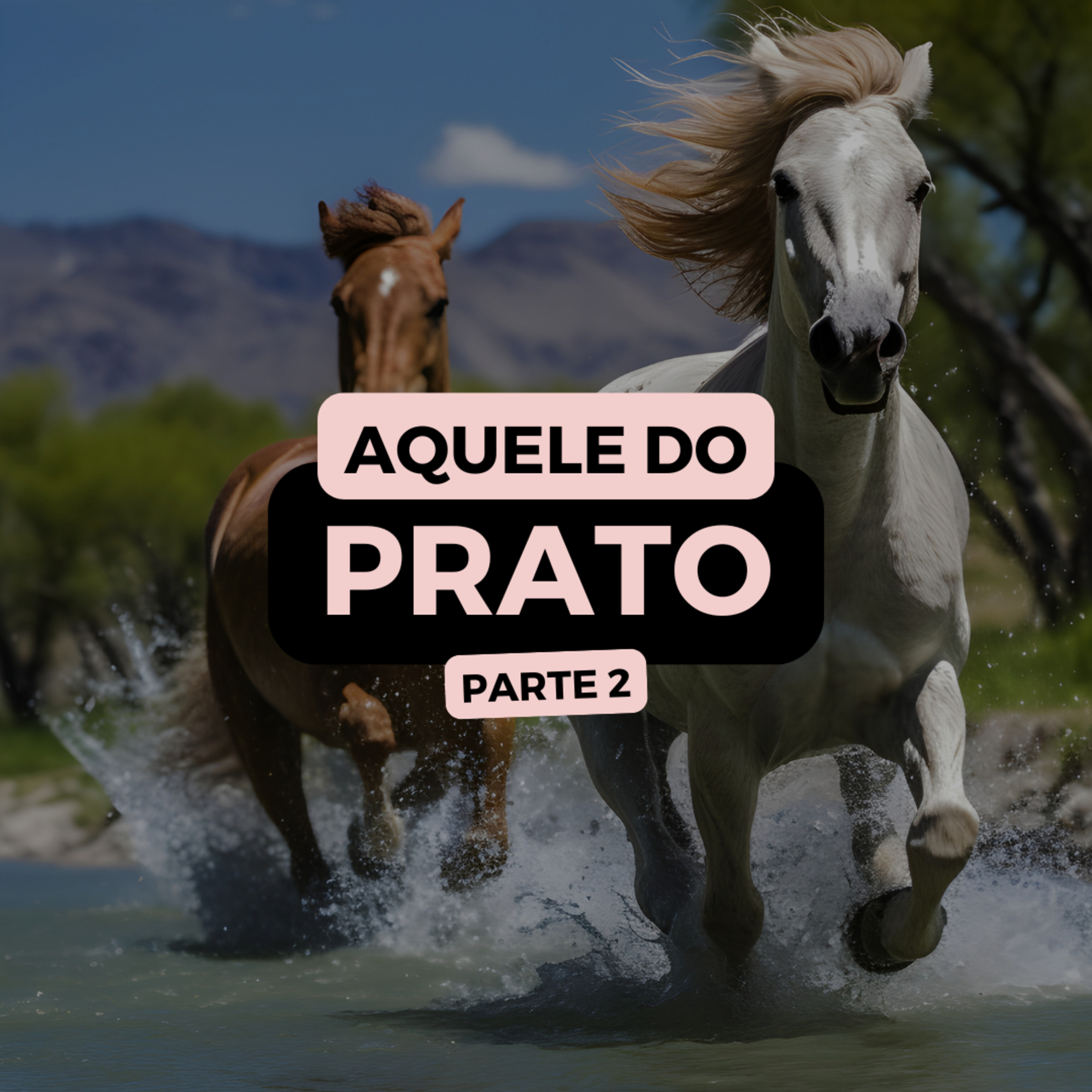 AQUELE DO PRATO 2