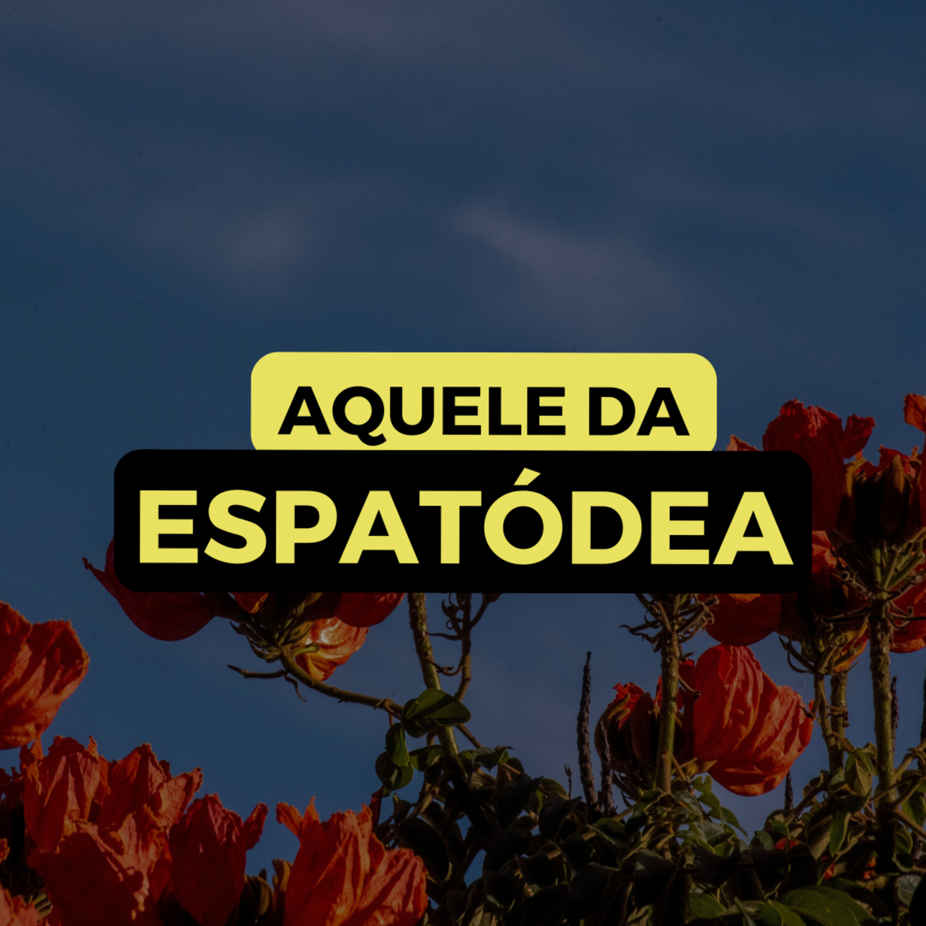 AQUELE DA ESPATÓDEA