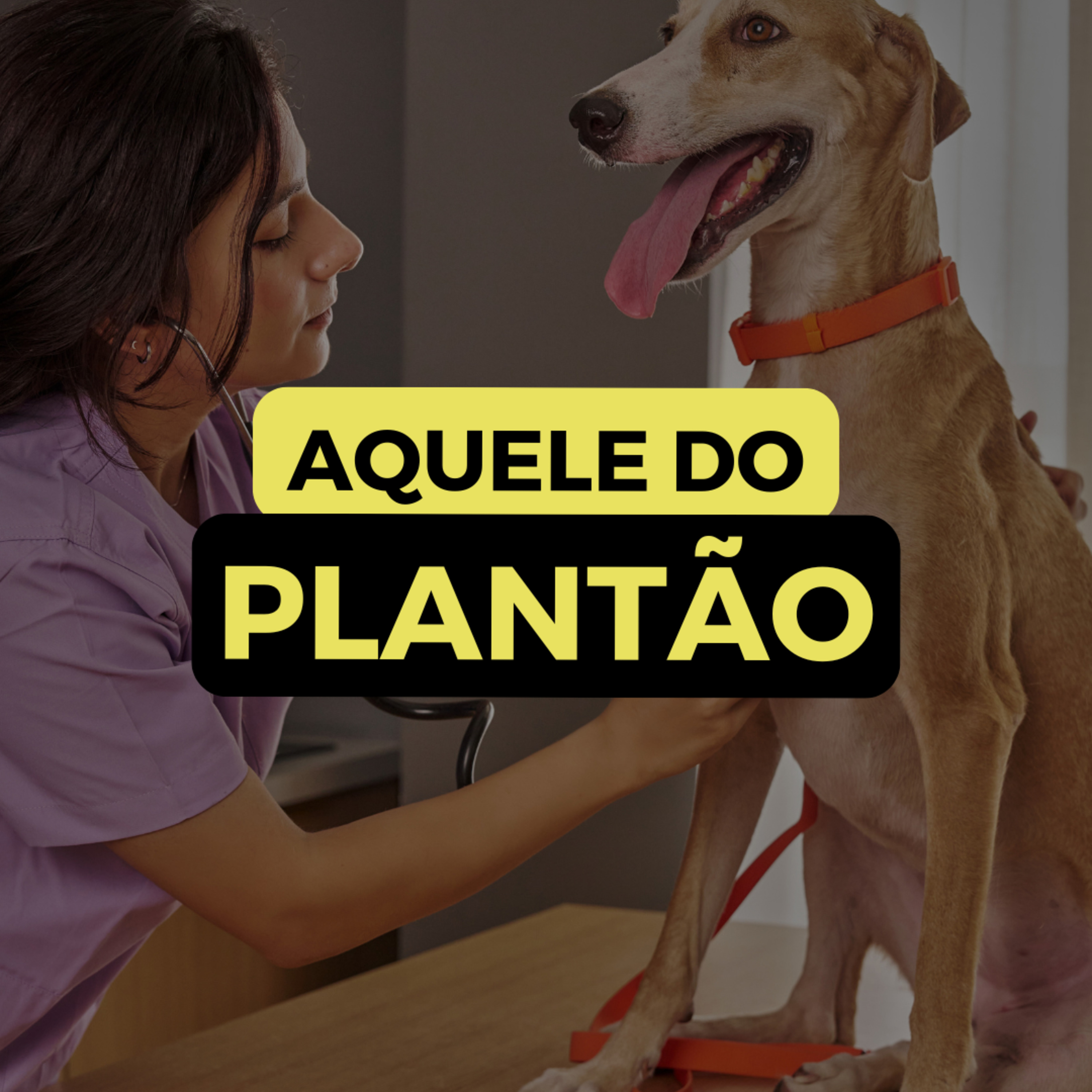 AQUELE DO PLANTÃO