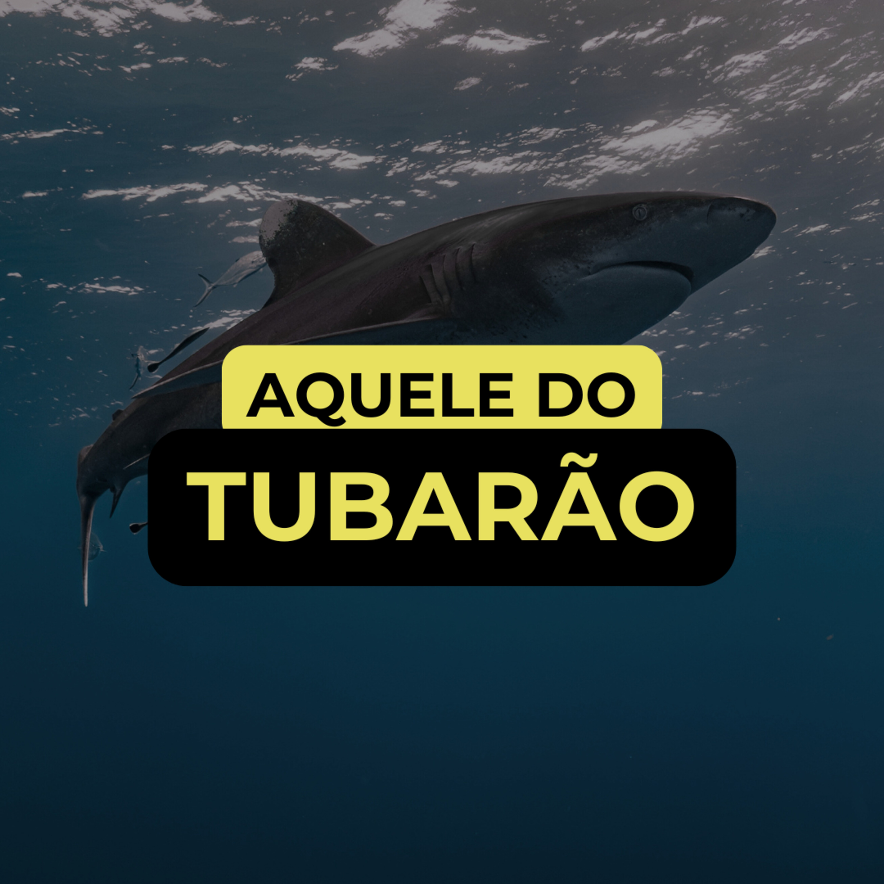 AQUELE DO TUBARÃO episode artwork