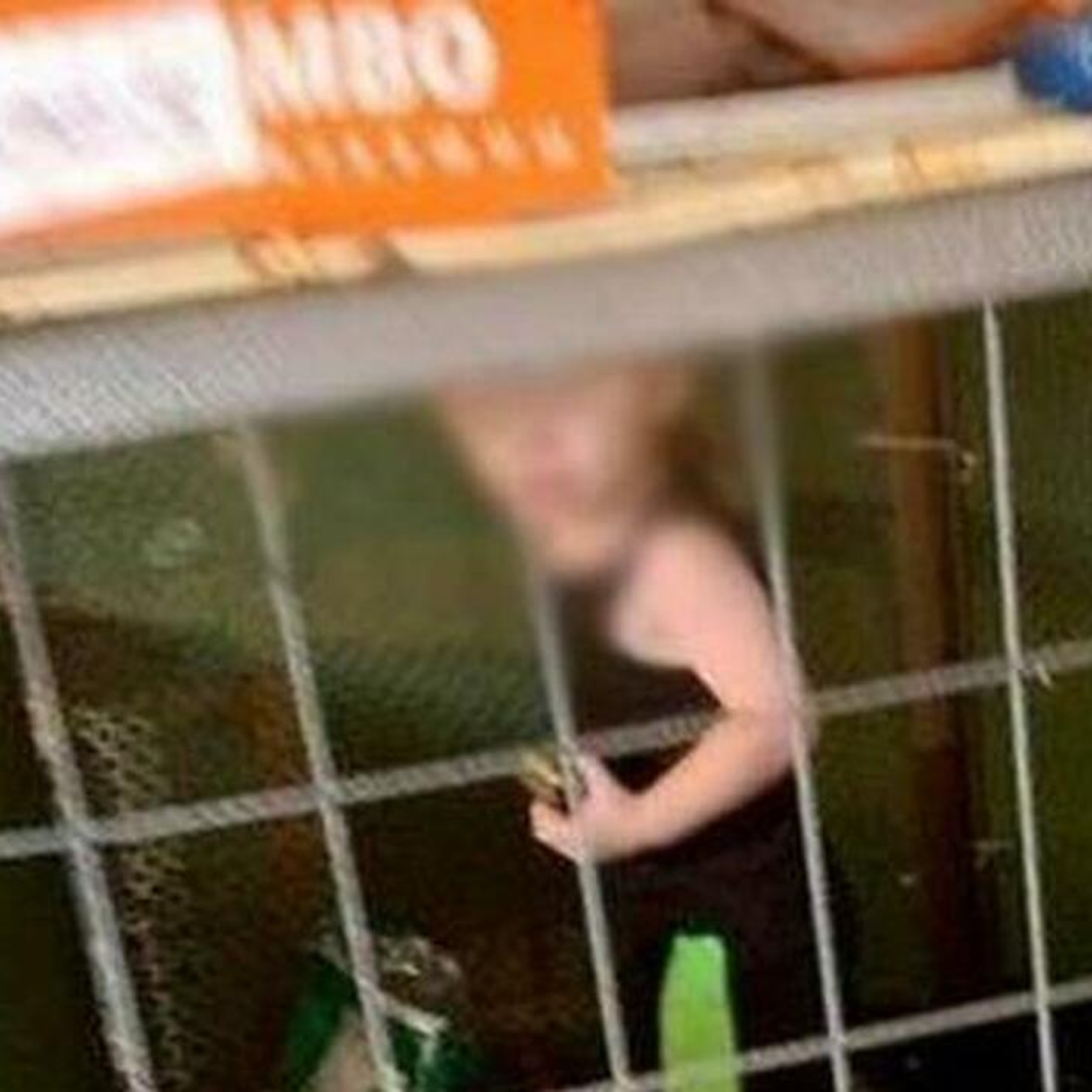 Bambina costretta a mangiare la sua stessa pelle per sopravvivere in gabbia.. episode artwork
