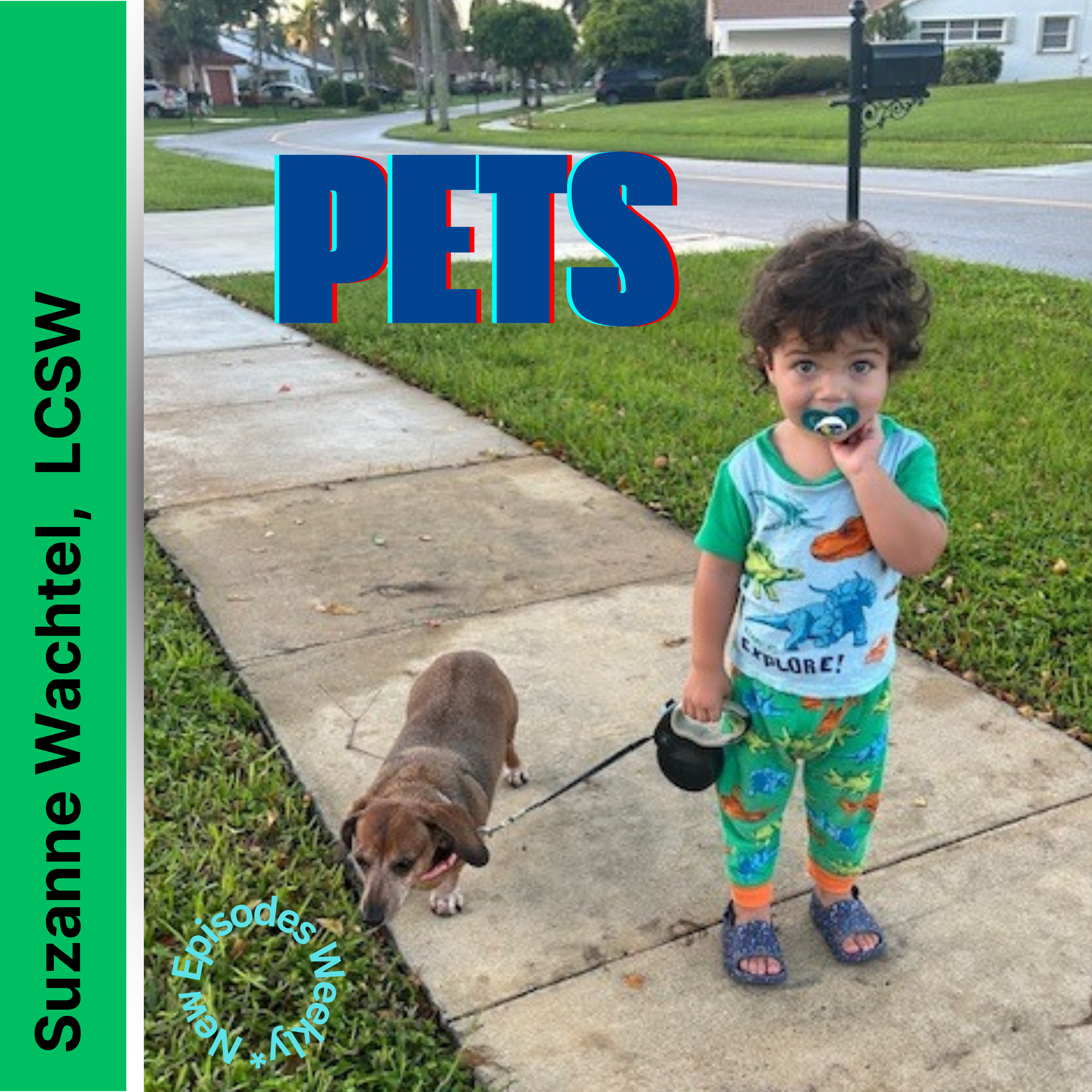 Living Your Best Life With Suzanne Wachtel