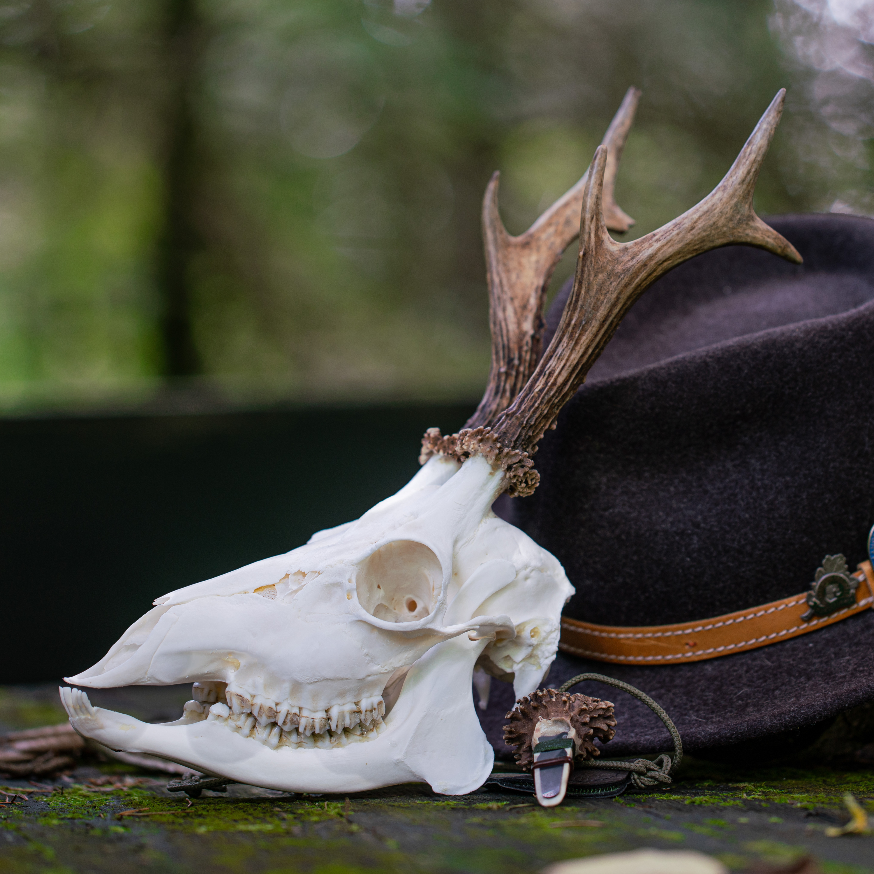 Bock auf Jagd - Der Jagdpodcast
