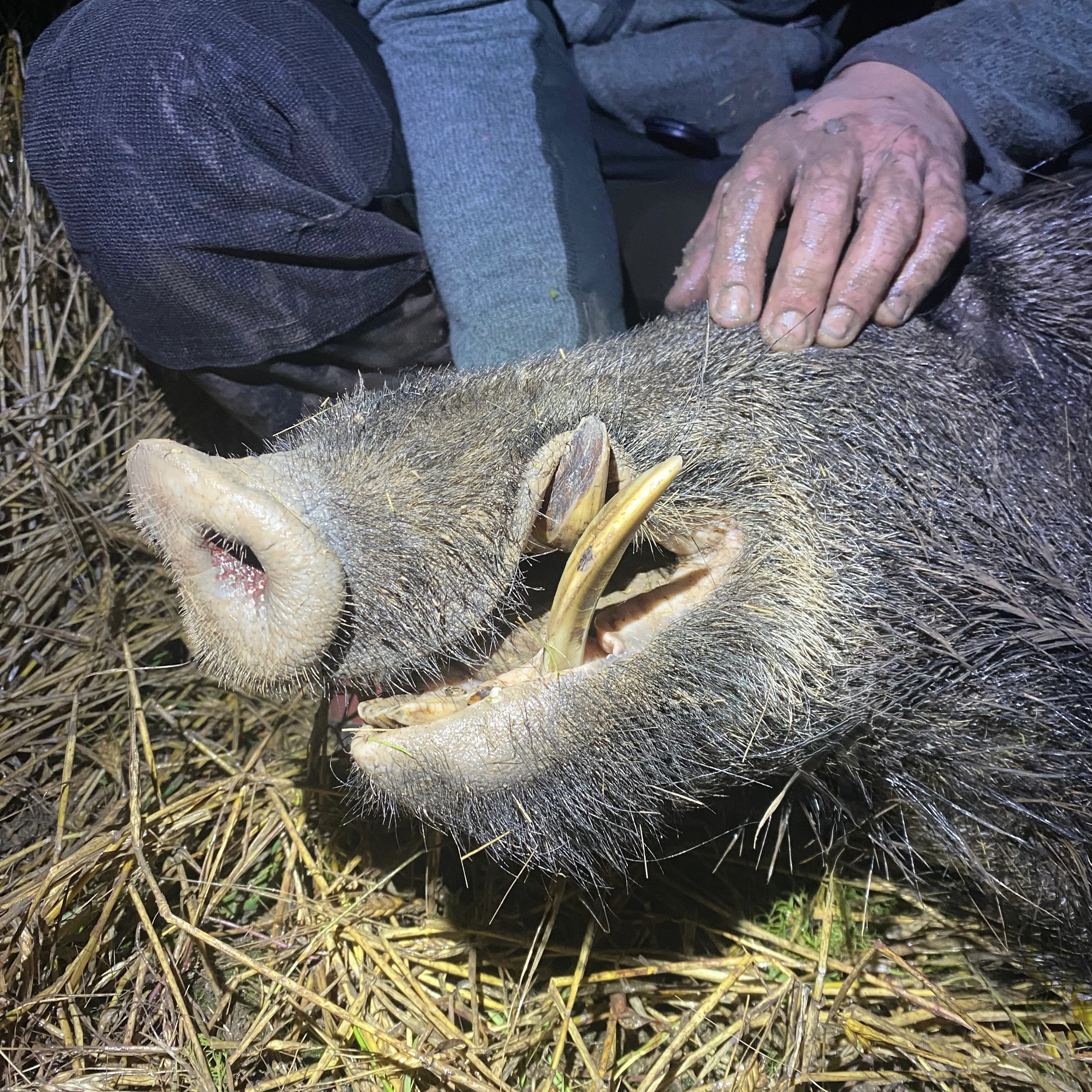Bock auf Jagd - Der Jagdpodcast