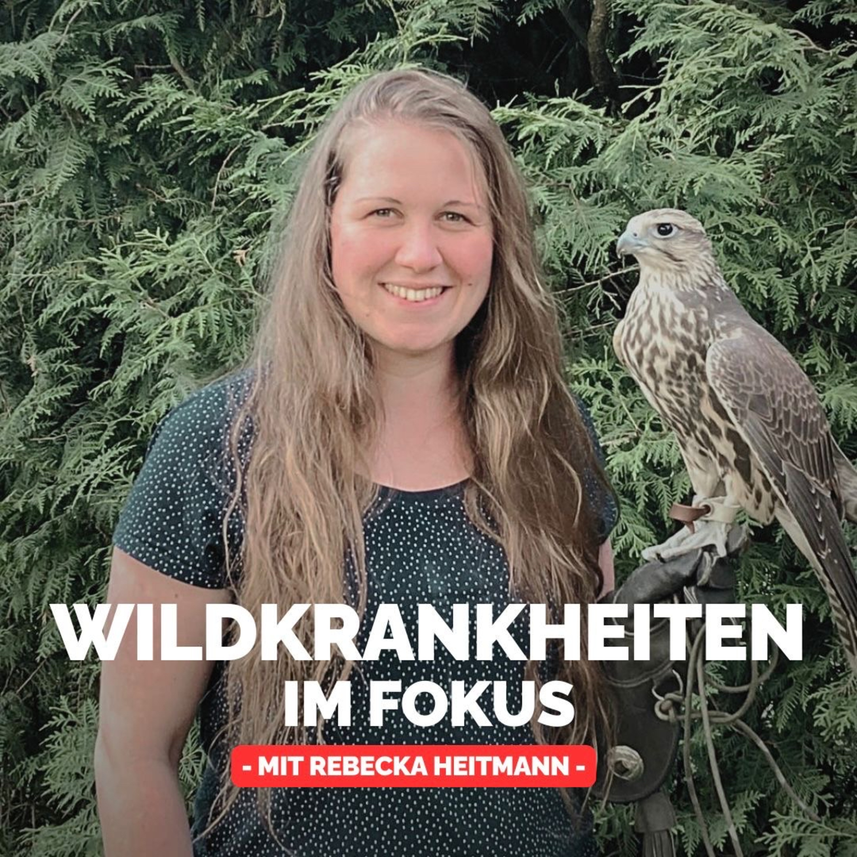 Wildkrankheiten im Fokus – Mit Rebecka Heitmann episode artwork