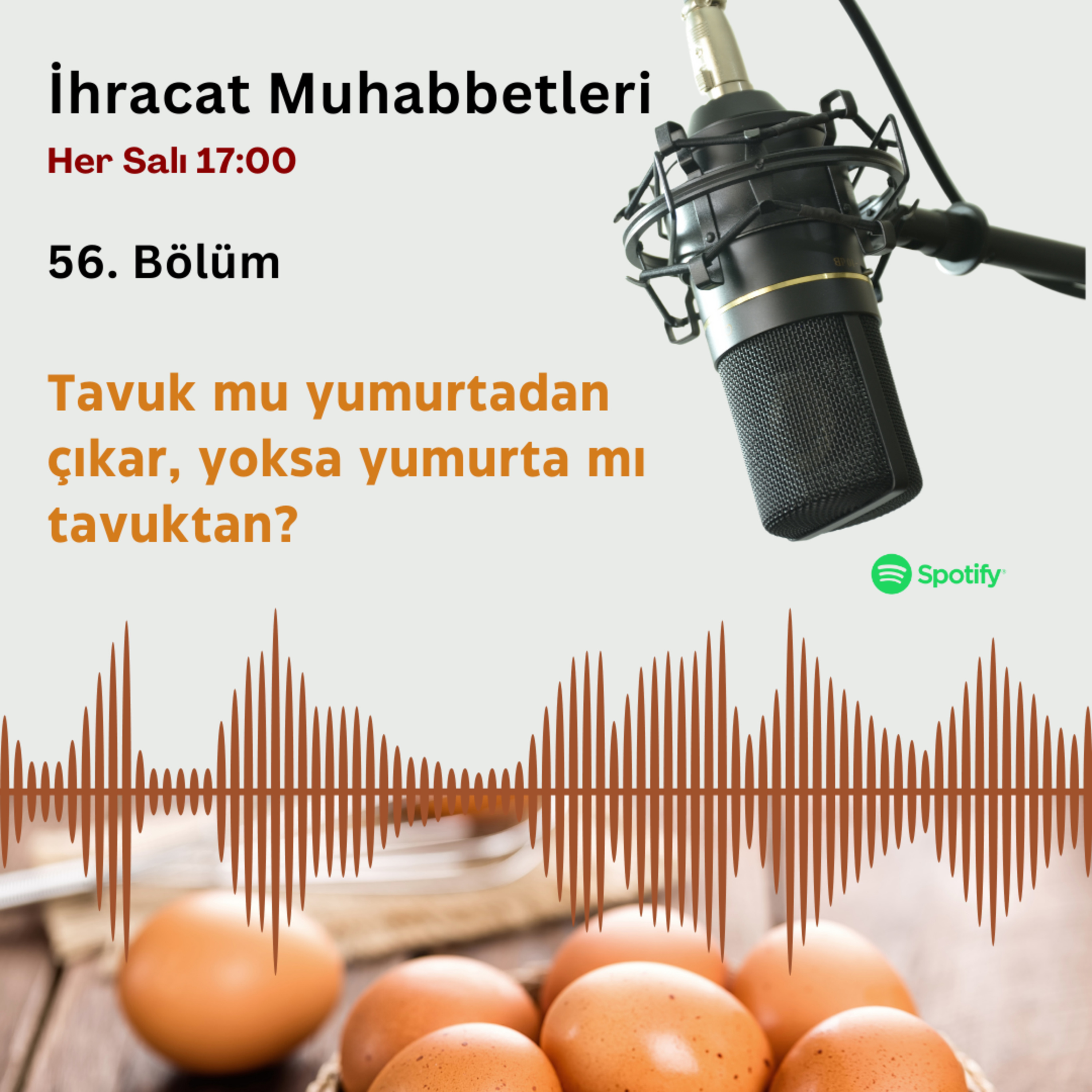 #56 Tavuk mu yumurtadan çıkar, yoksa yumurta mı tavuktan? episode artwork