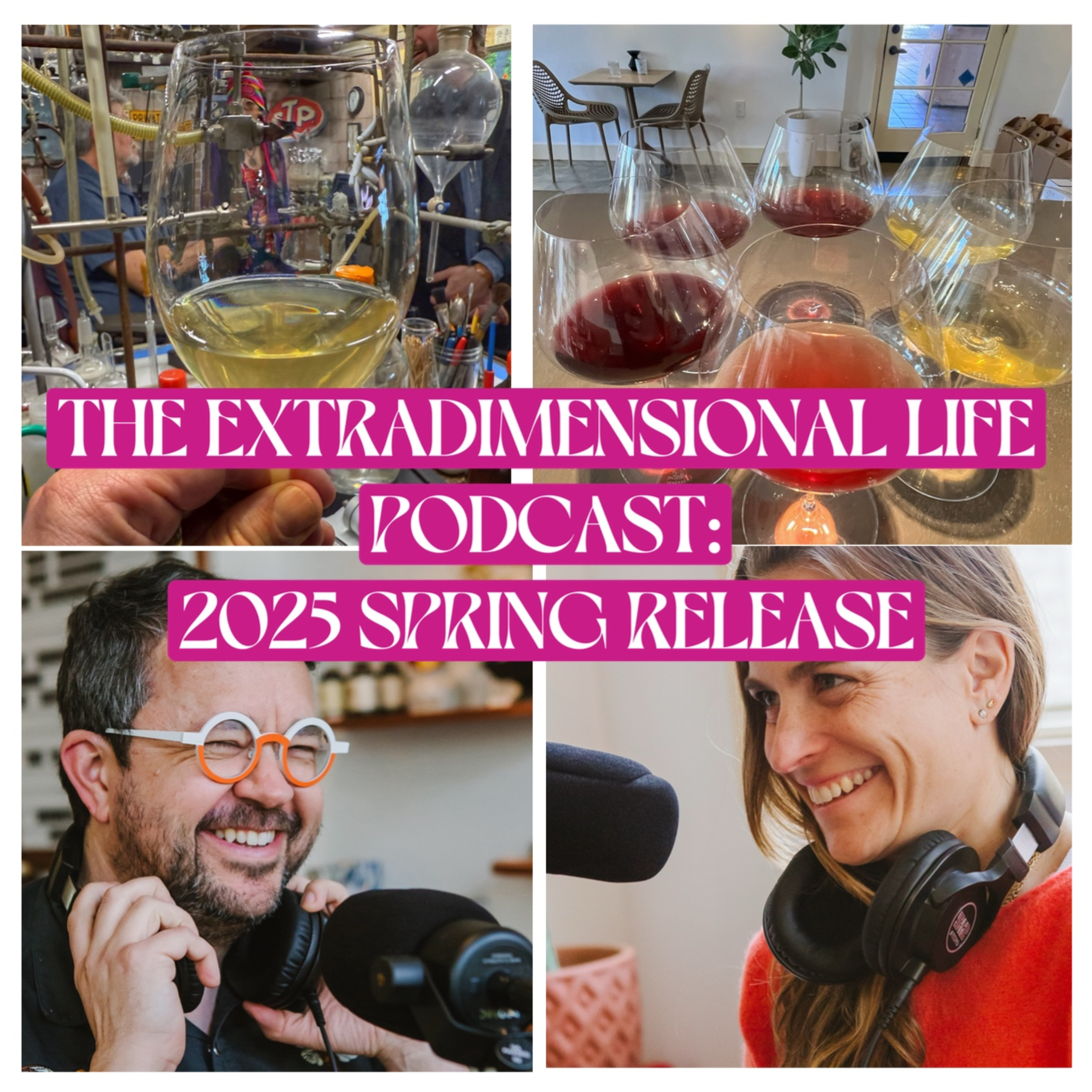 The Extradimensional Life