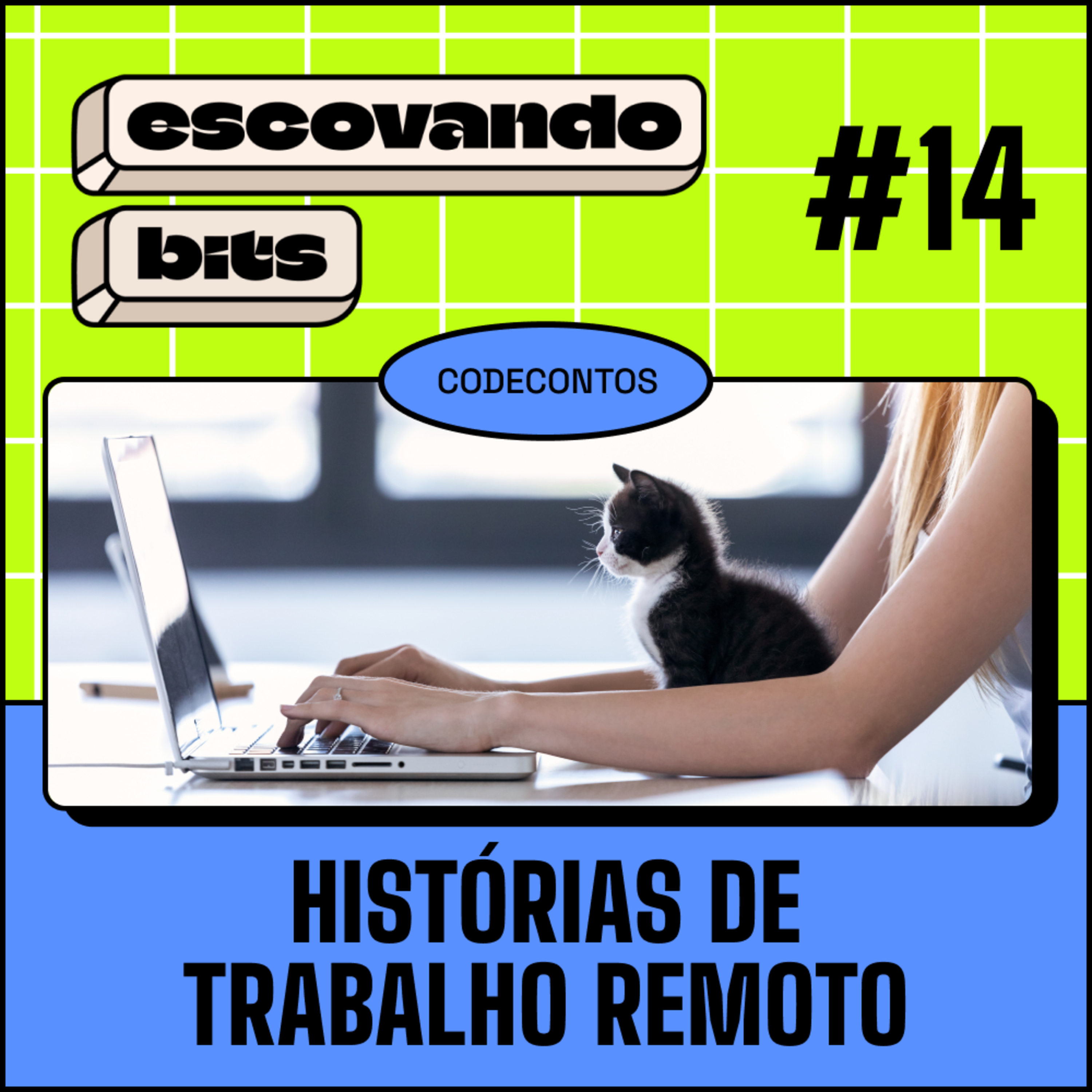 escovando bits
