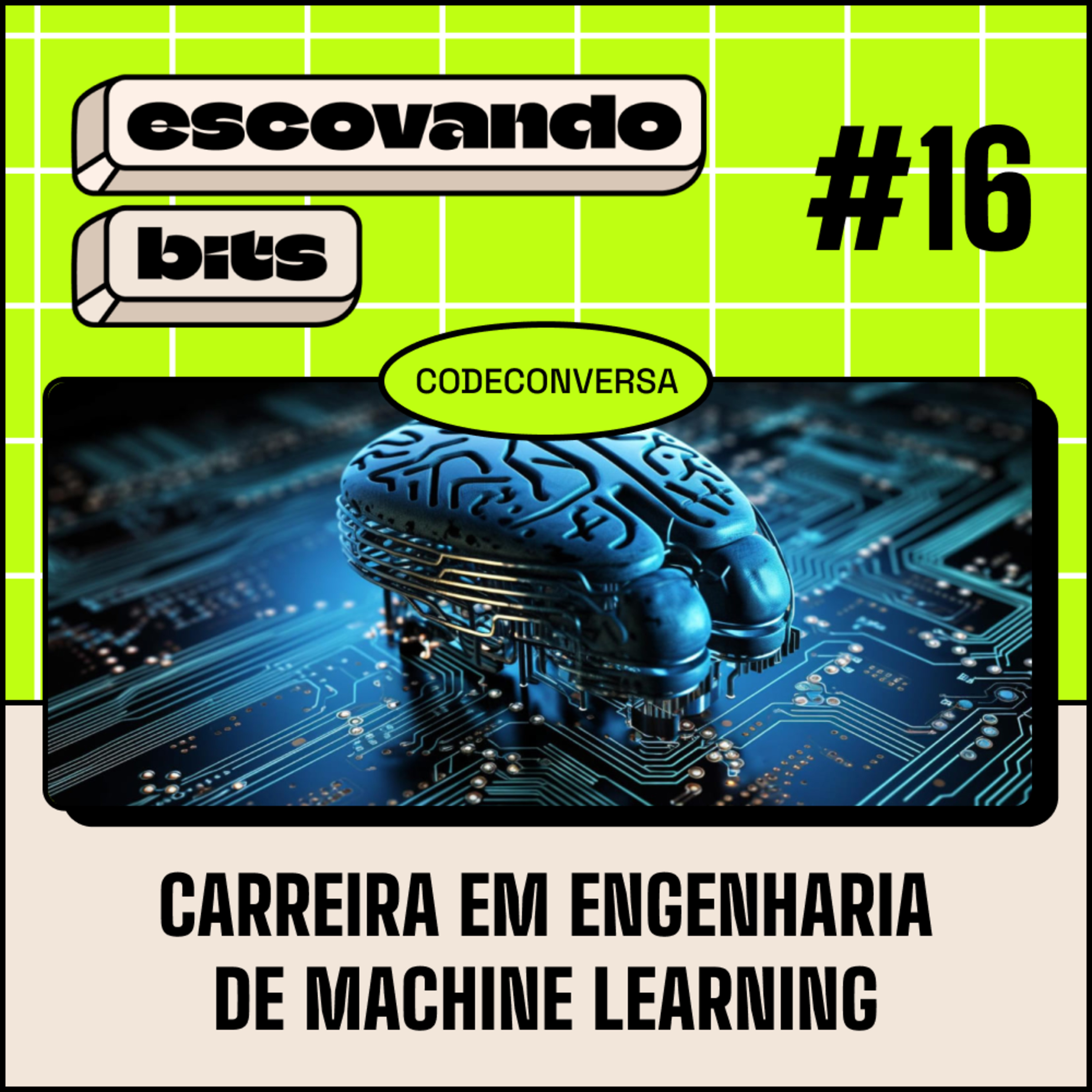 escovando bits