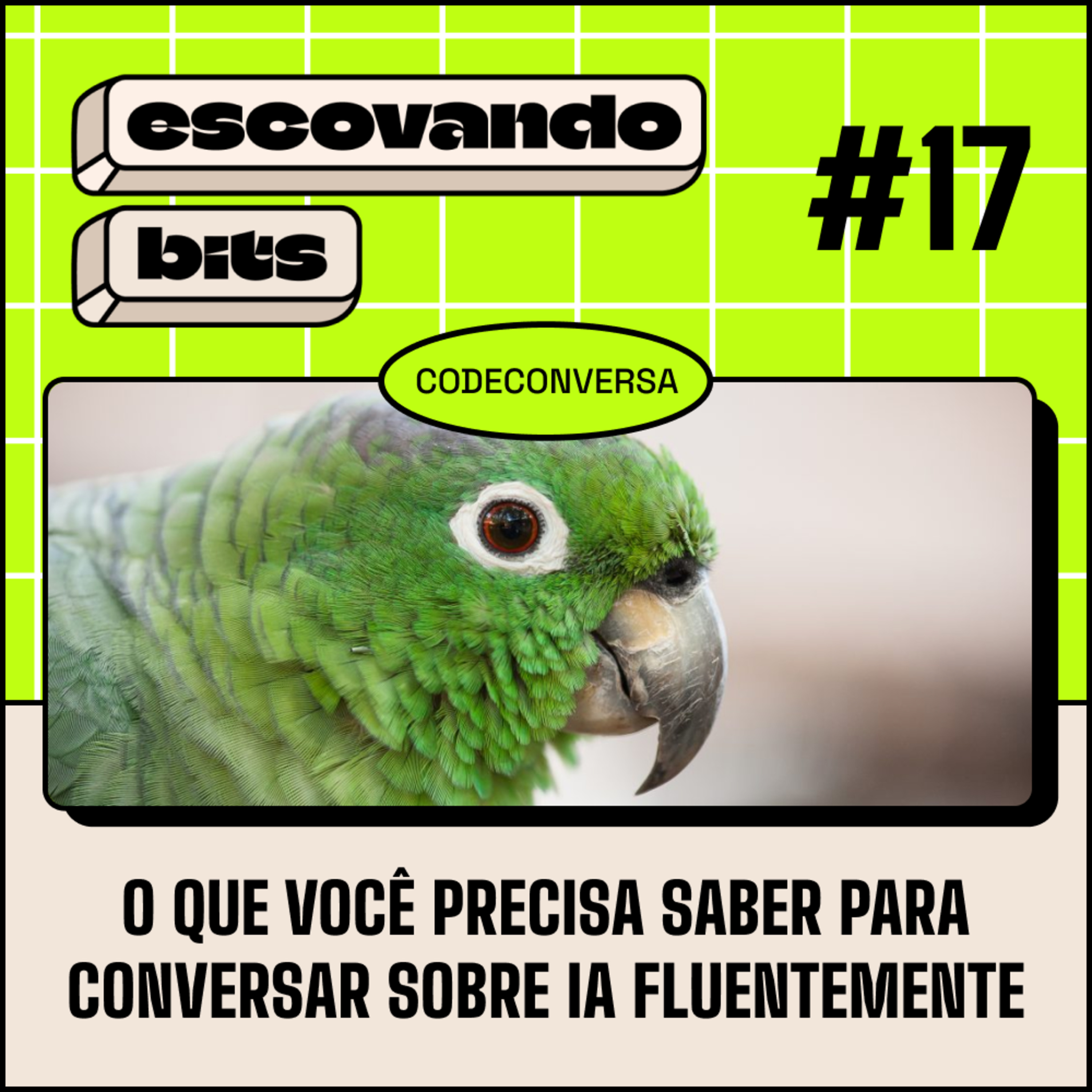 escovando bits