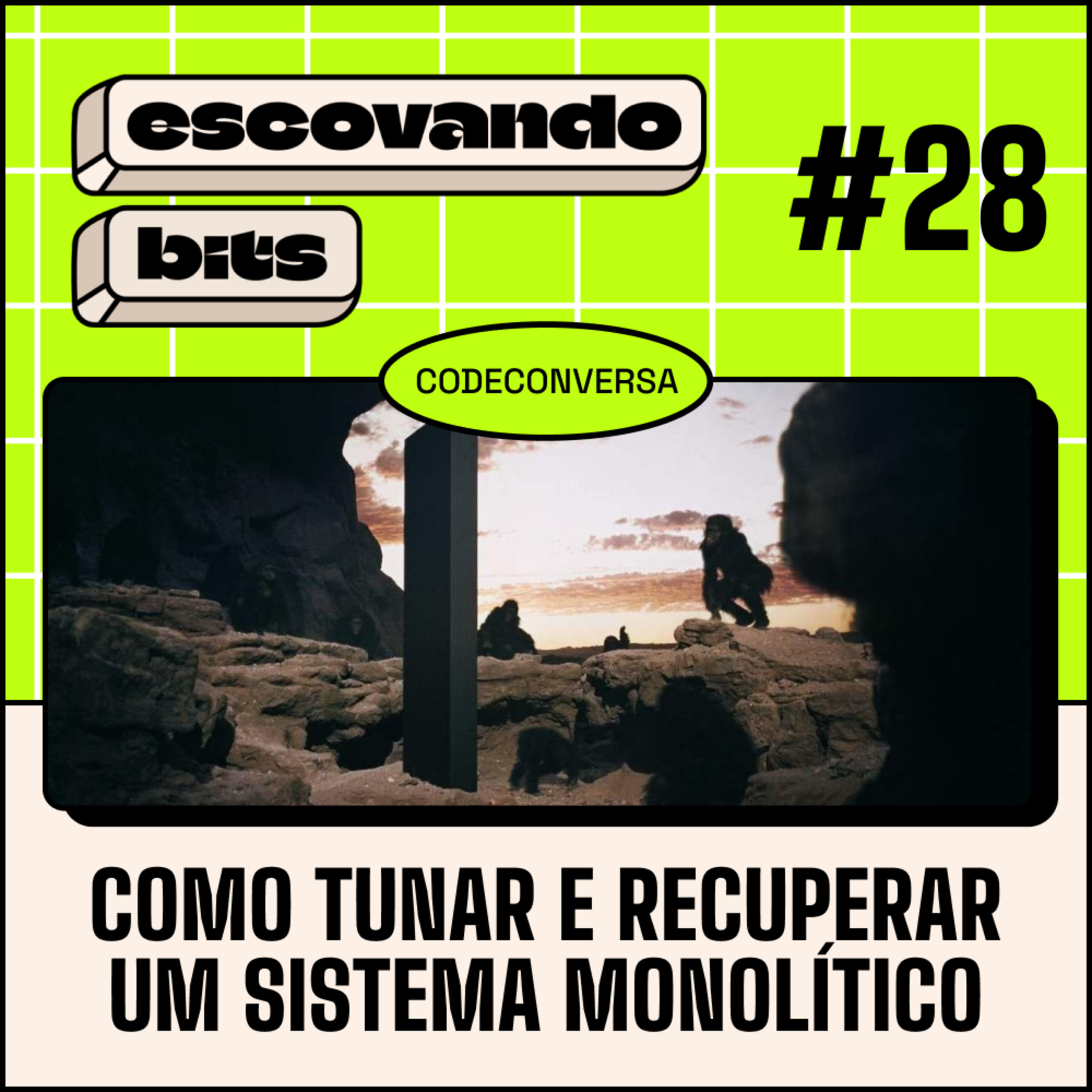 escovando bits