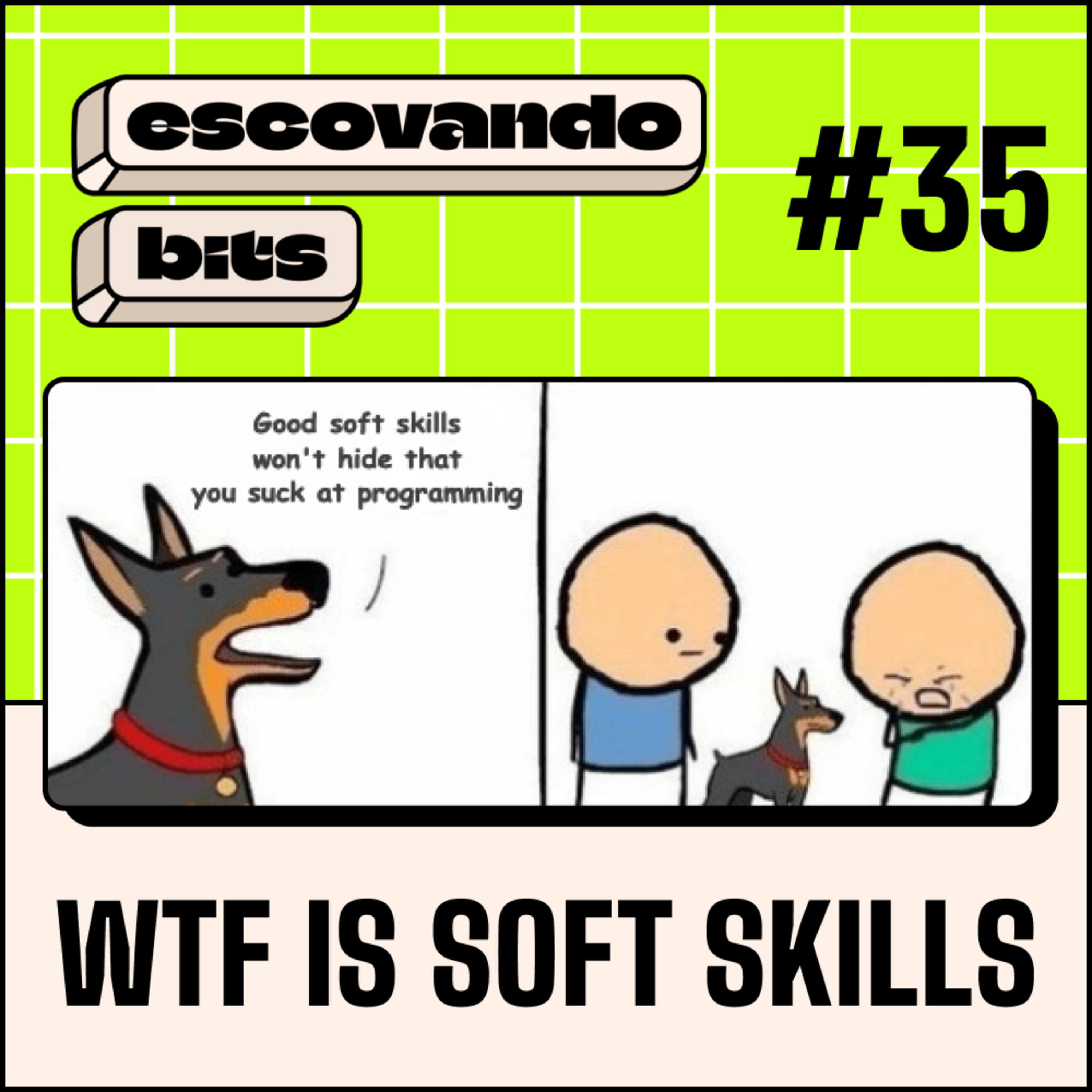 escovando bits