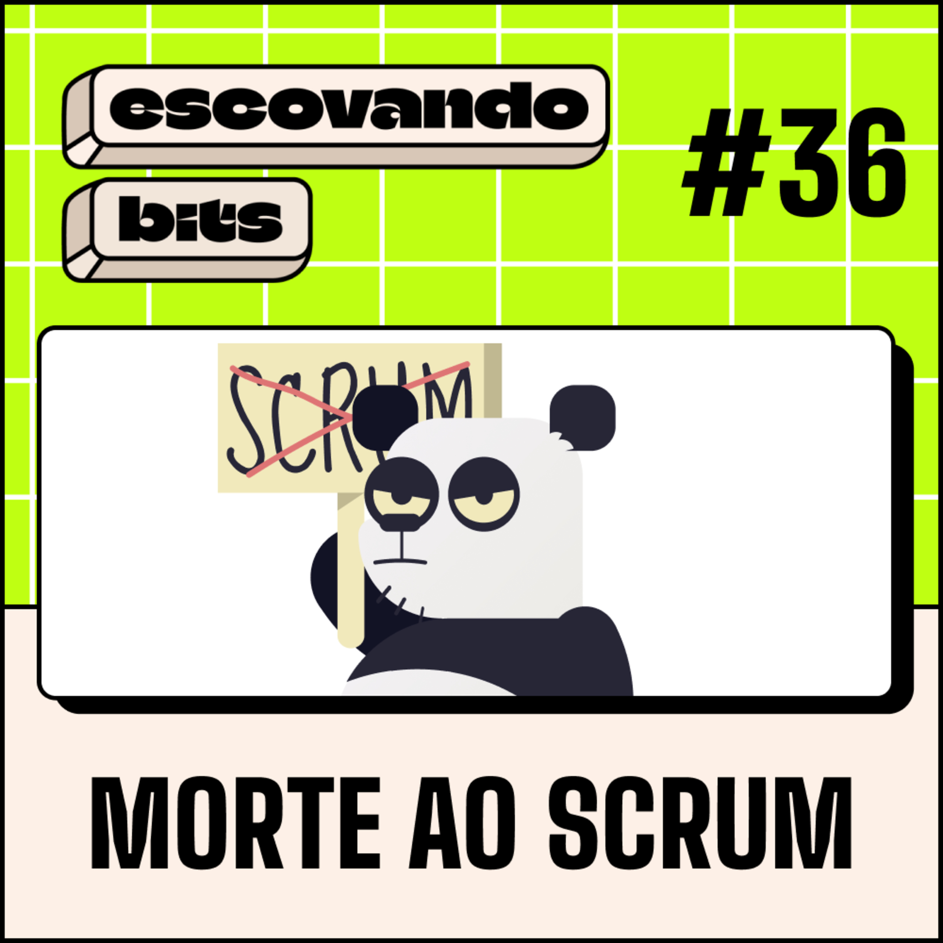 escovando bits