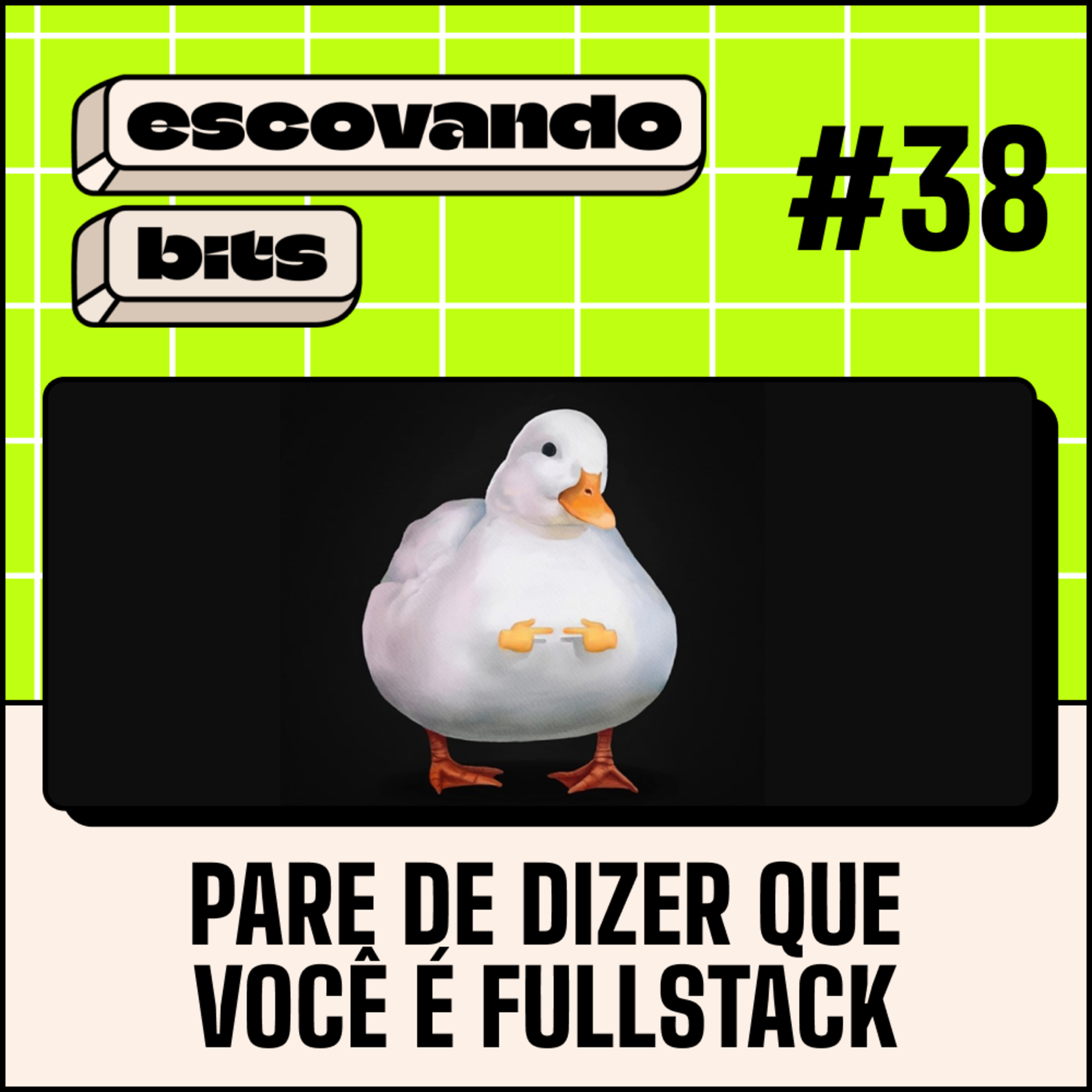escovando bits