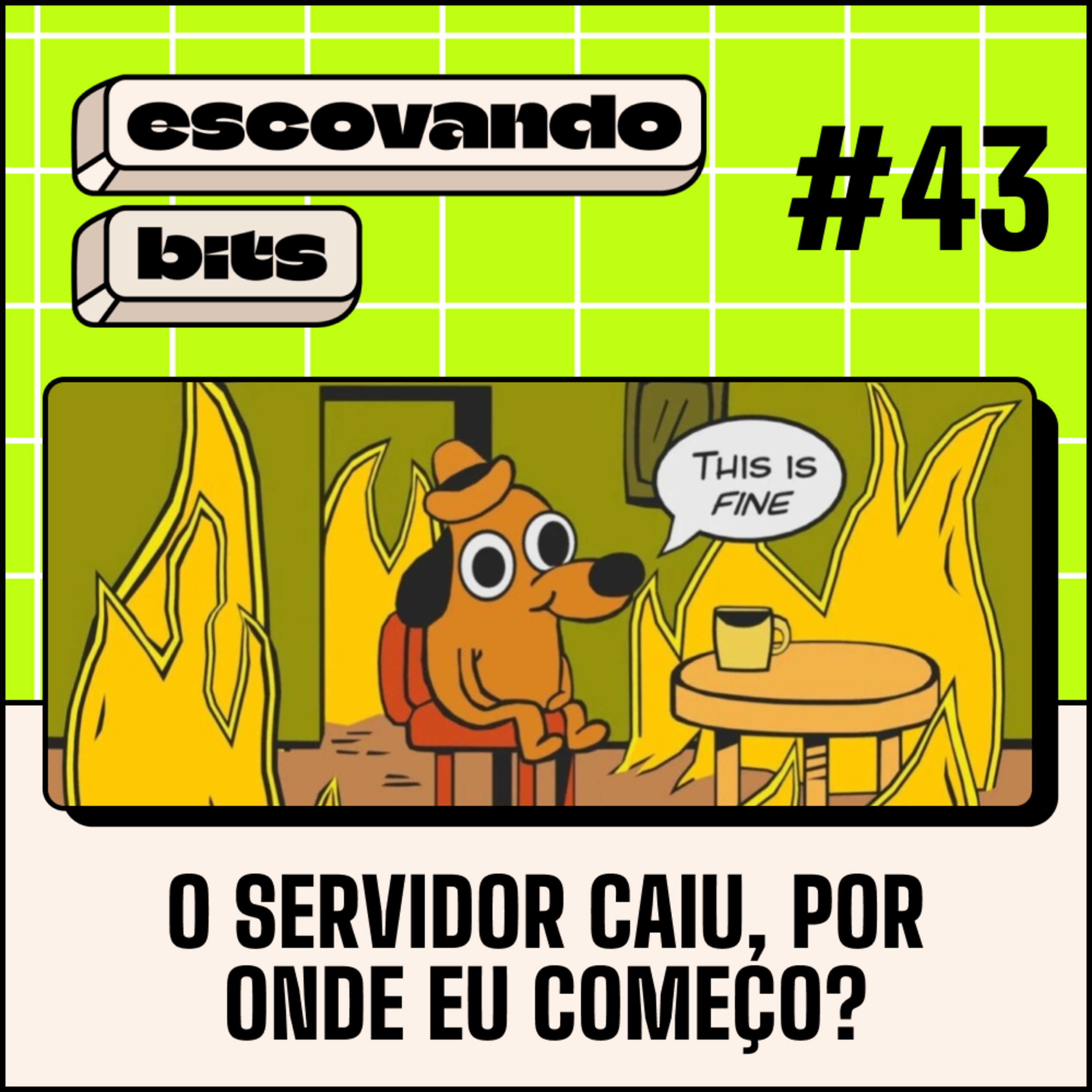 escovando bits